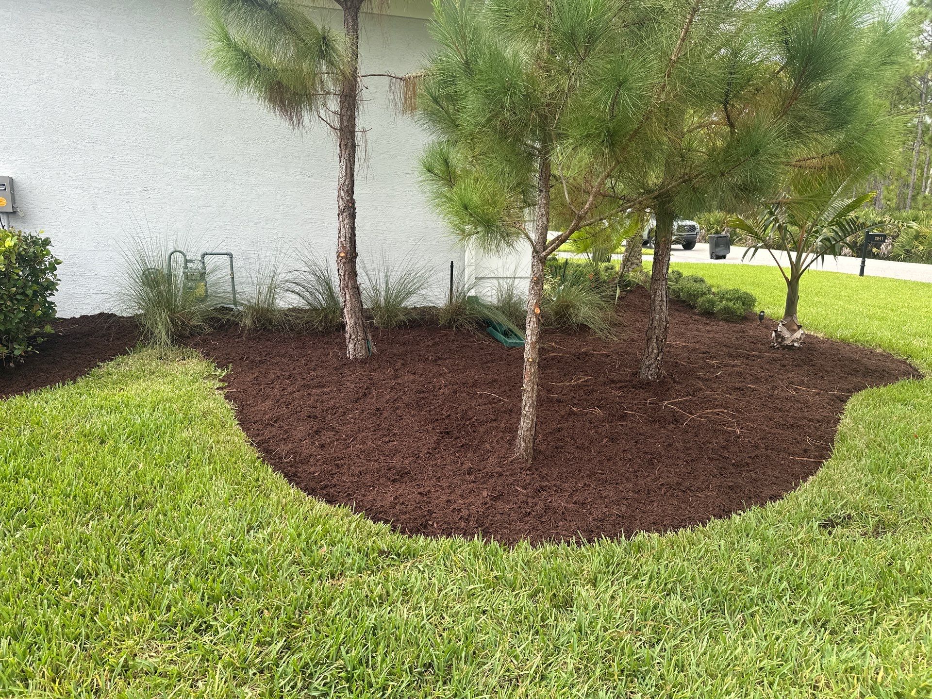 Landscape Cleanup & Refresh – Canopy Creek, Palm City by Alpha Zeta Enterprises Inc