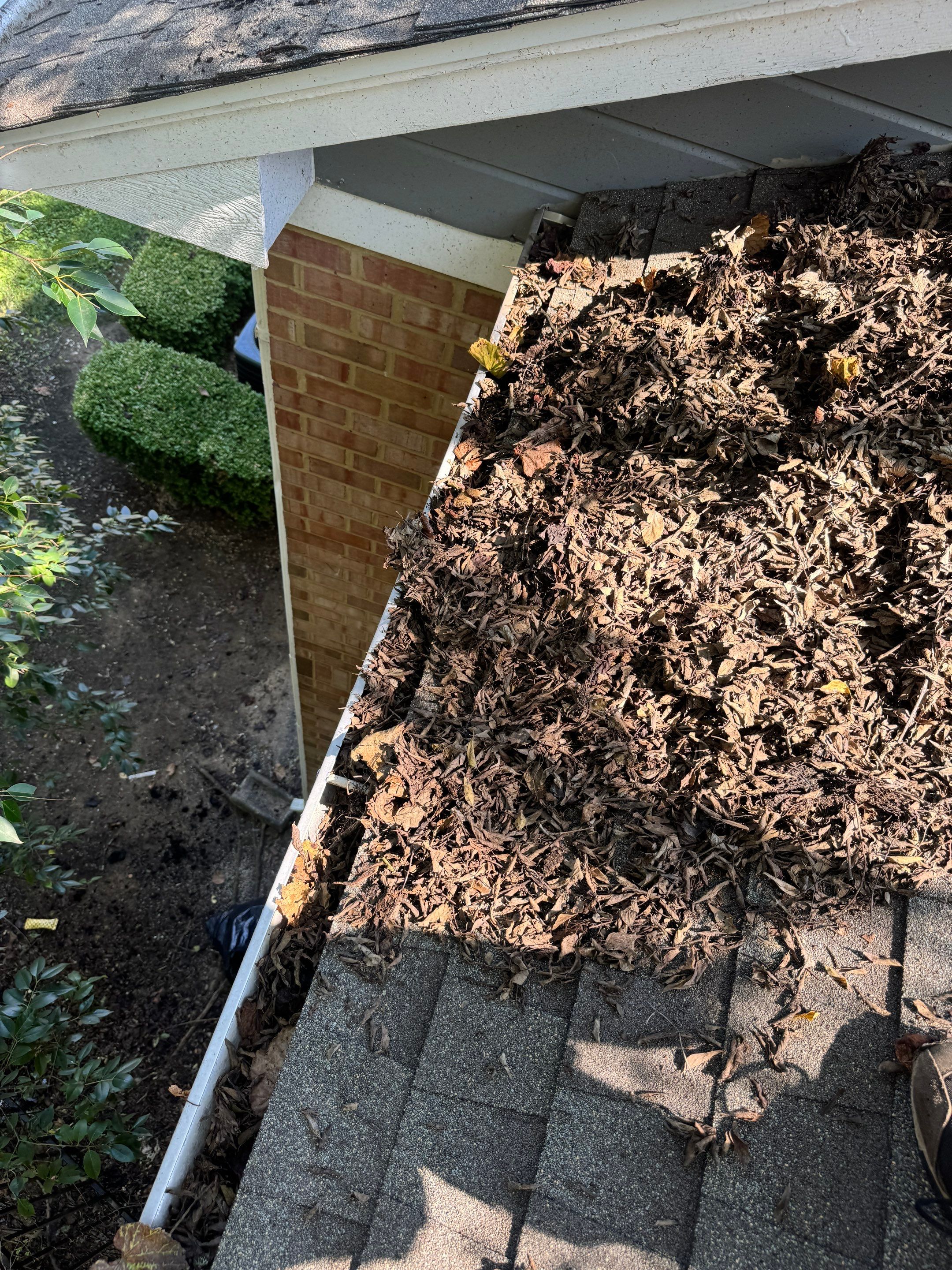 Commercial gutter cleaning Montgomery before photo with filled gutters