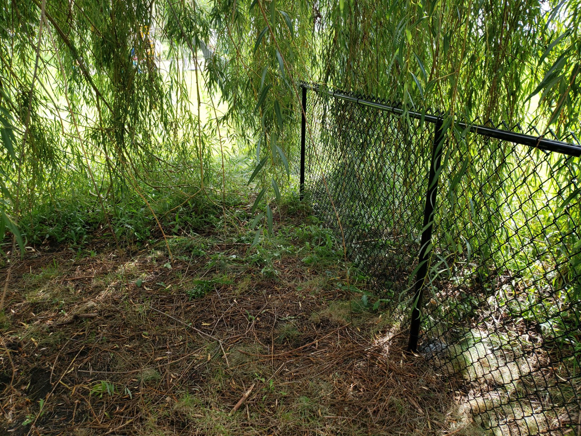 Black Vinyl-Coated Chain Link Fence Installation in Cedar Falls by Perfect Picket Fence and Stain