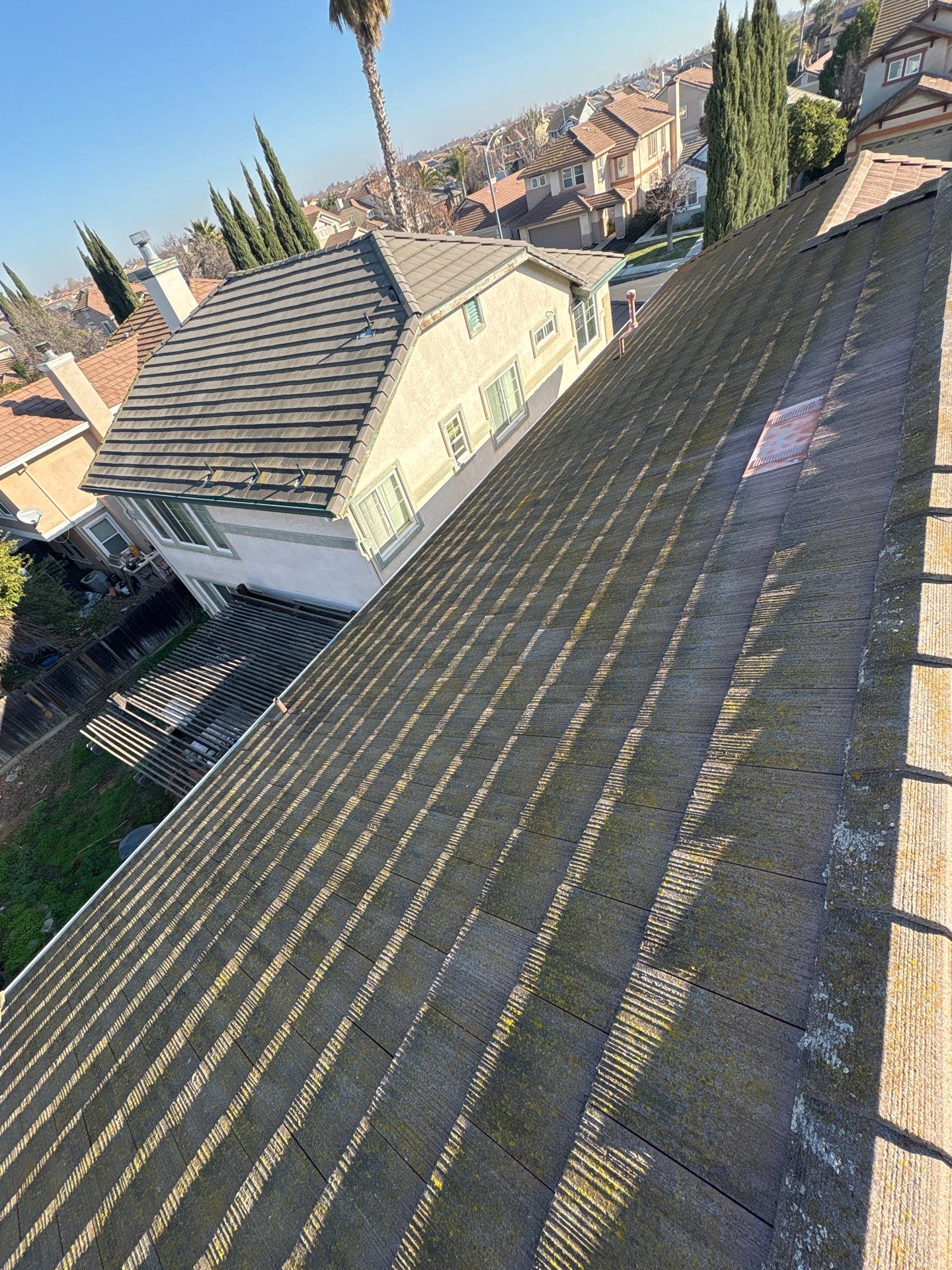 Moss Removal by Top Elevation