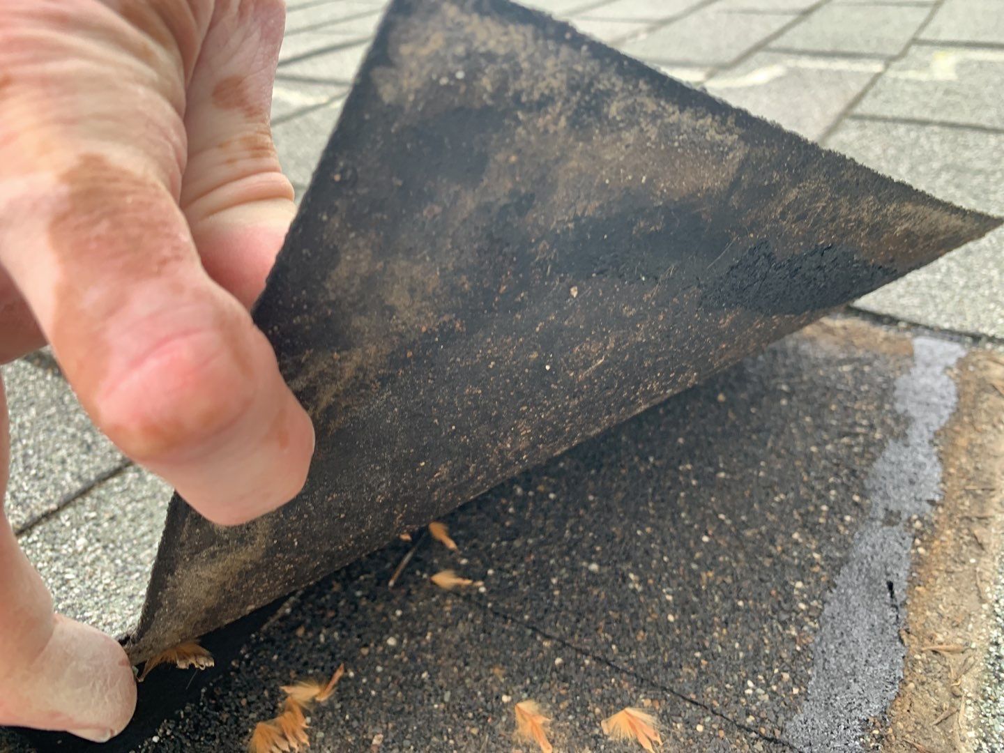 Star Idaho Single level roofing replacement using Duration Brownwood by ID Roofing LLC