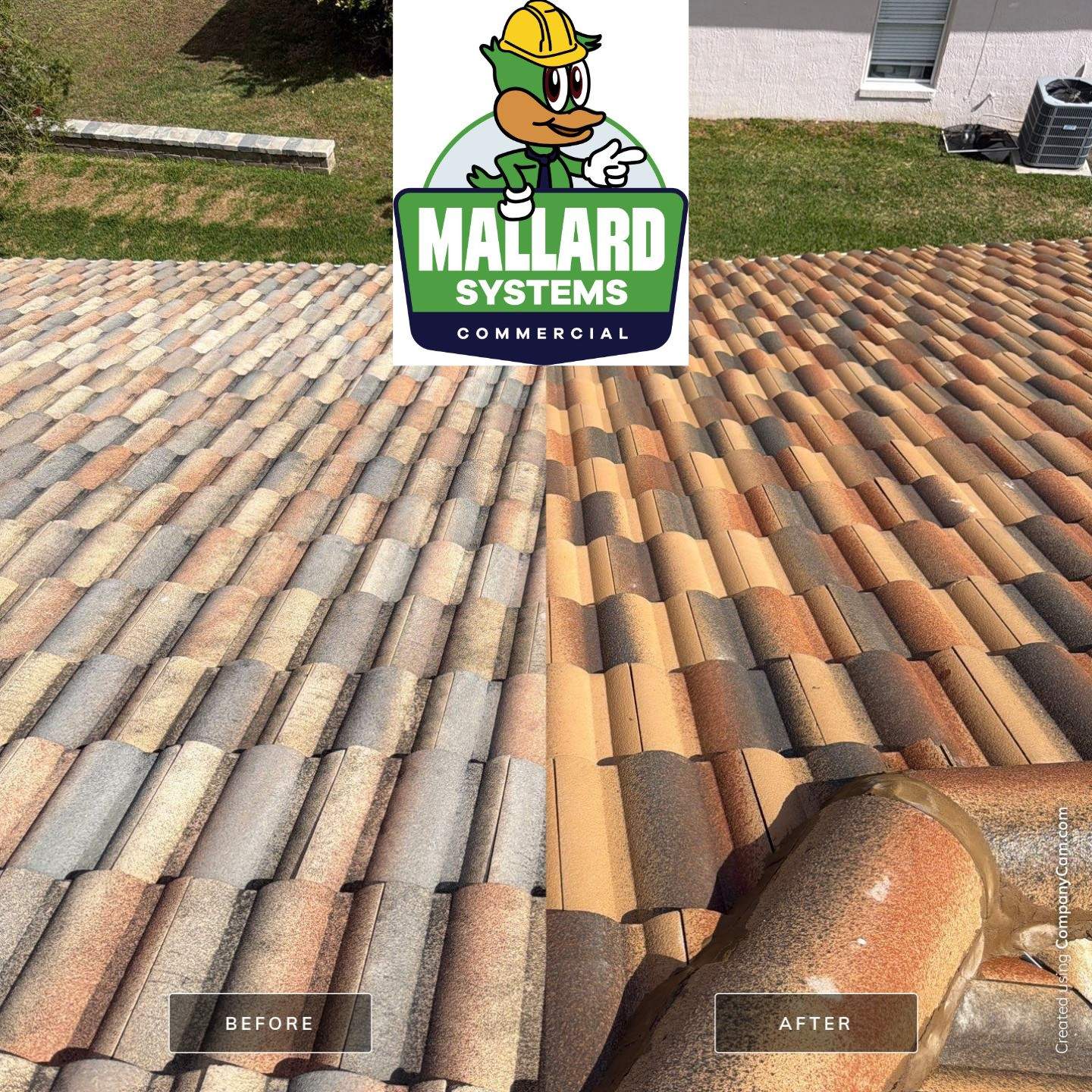Flat Tile Roof Cleaning by Mallard Systems