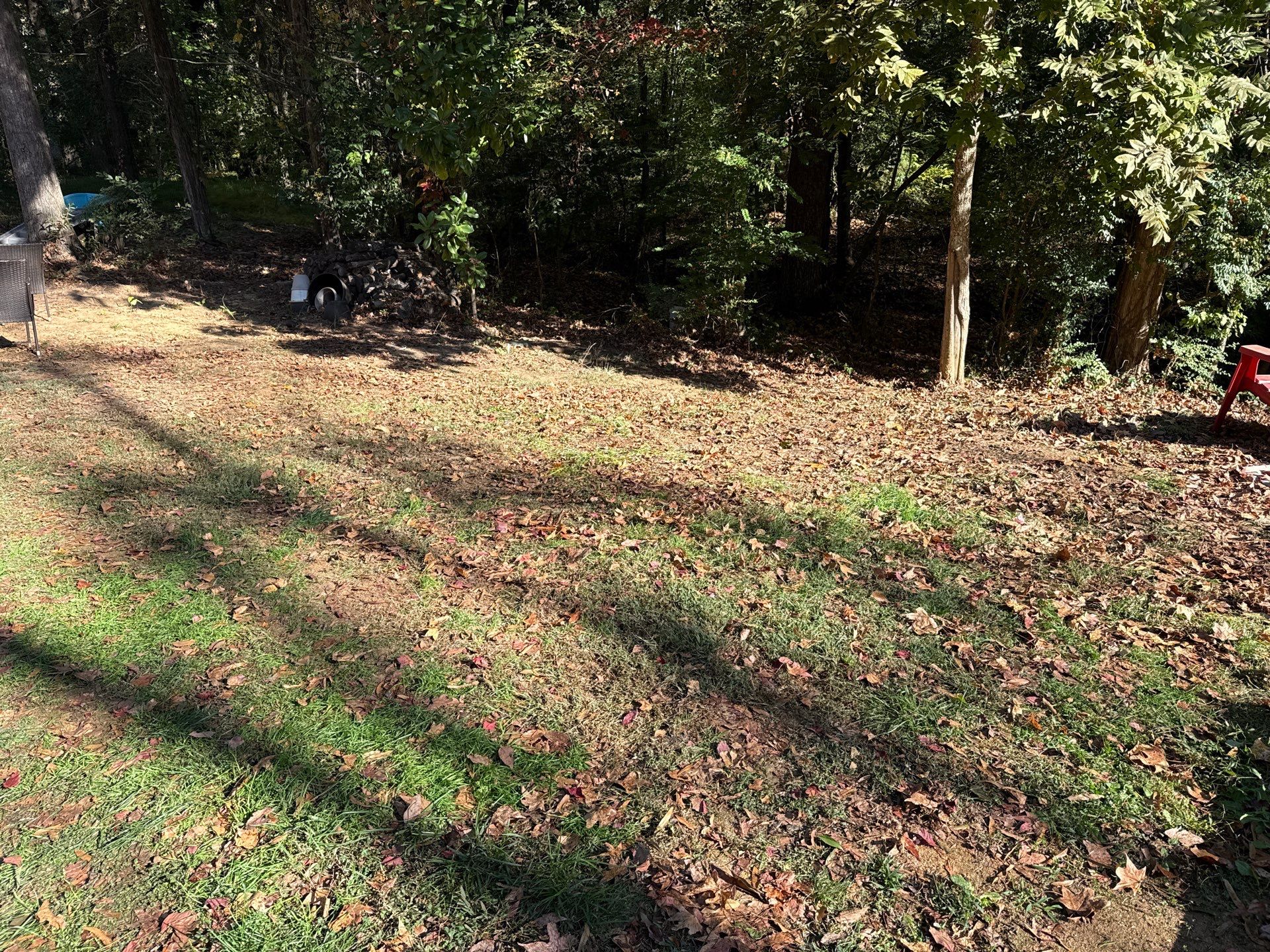 Project in Charlotte by Badger Hauling