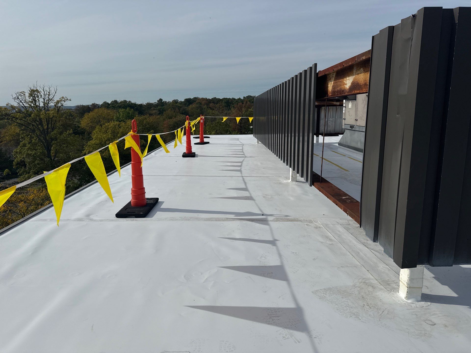 Commercial Roof Replacement – TPO Rhinobond System Installed at TD Bank by All Site Roofing