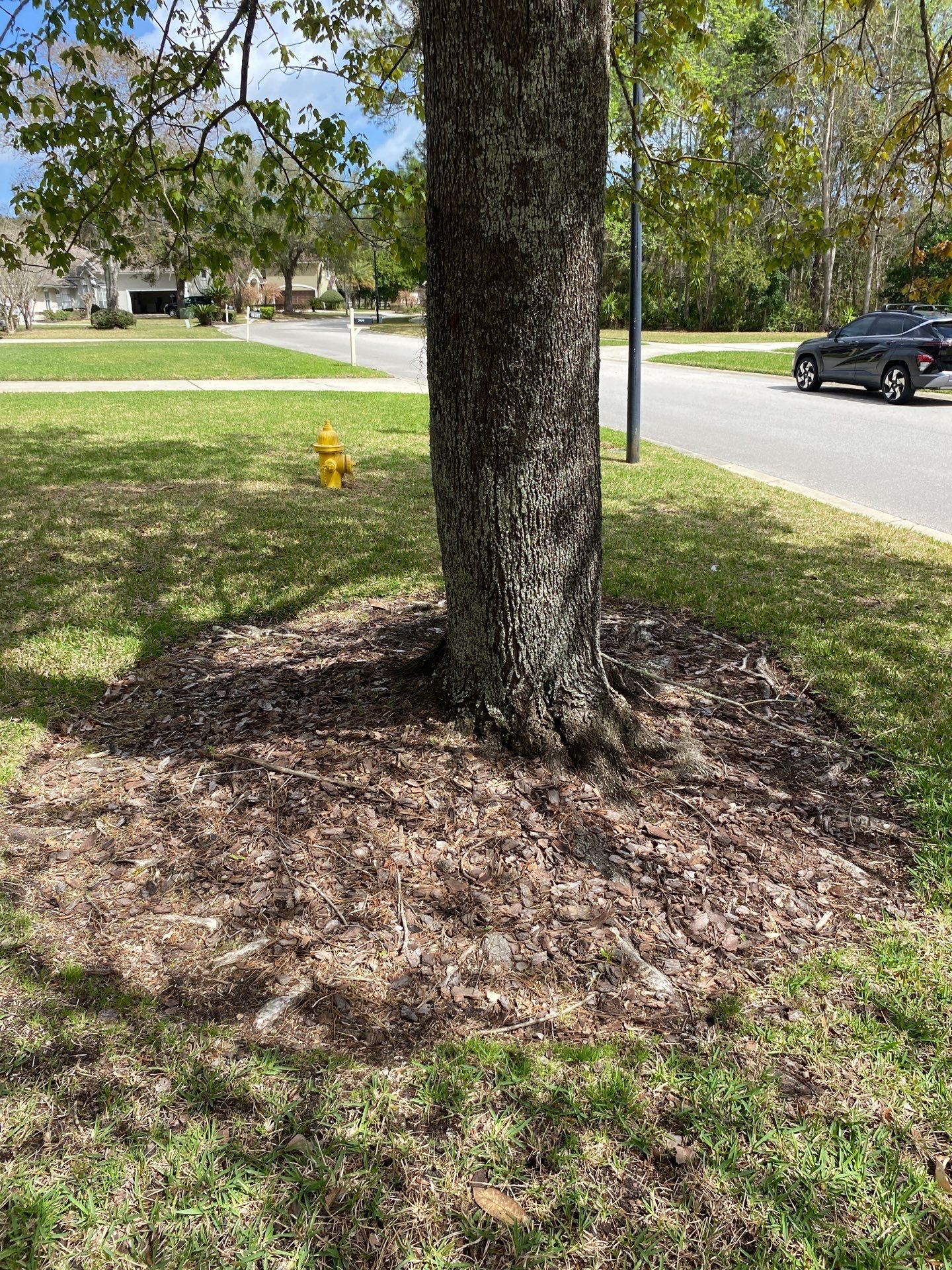 Residential | Landscaping by ProGreen Services
