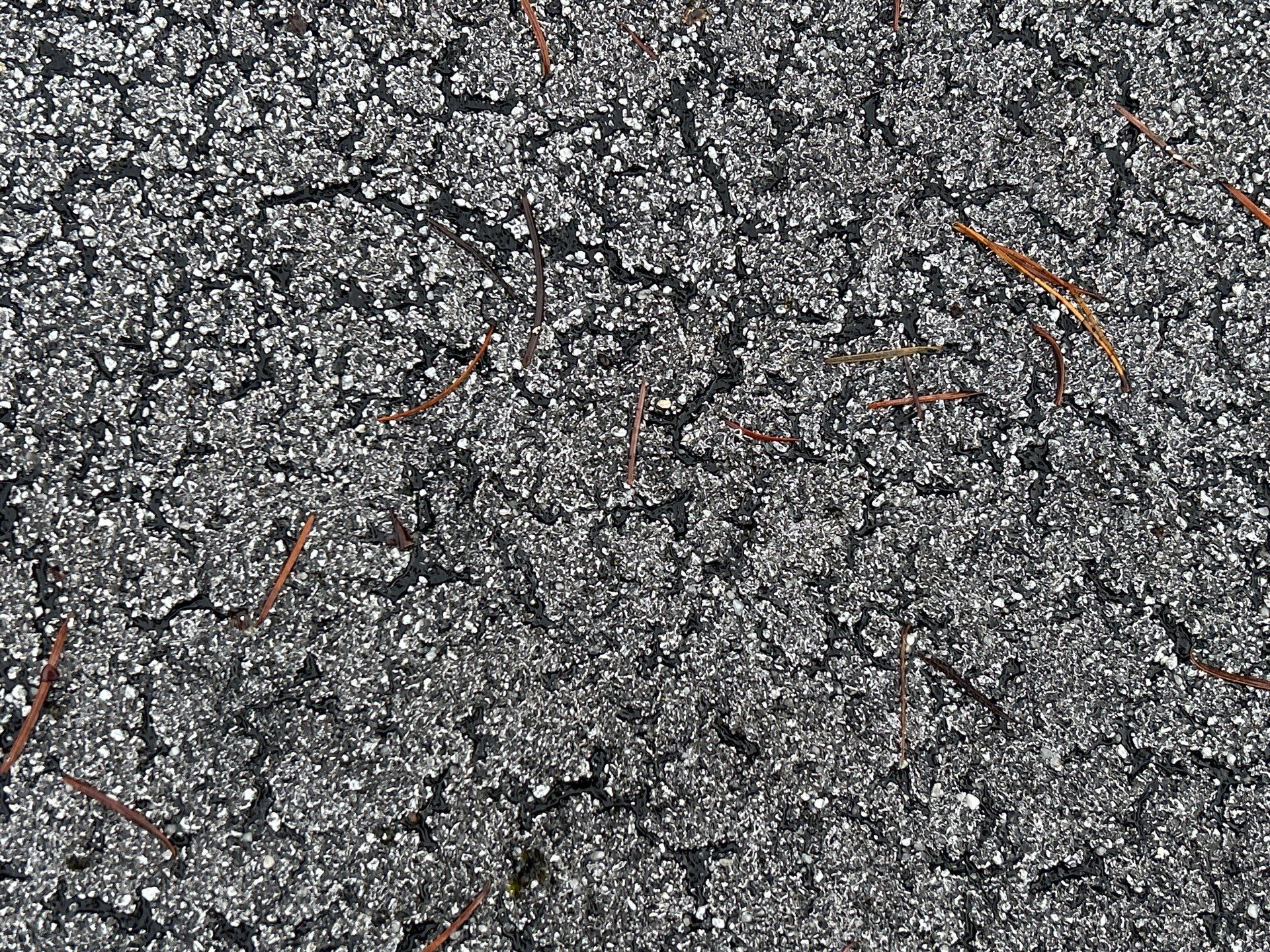 Project in Kirkland by Connolly Construction Company