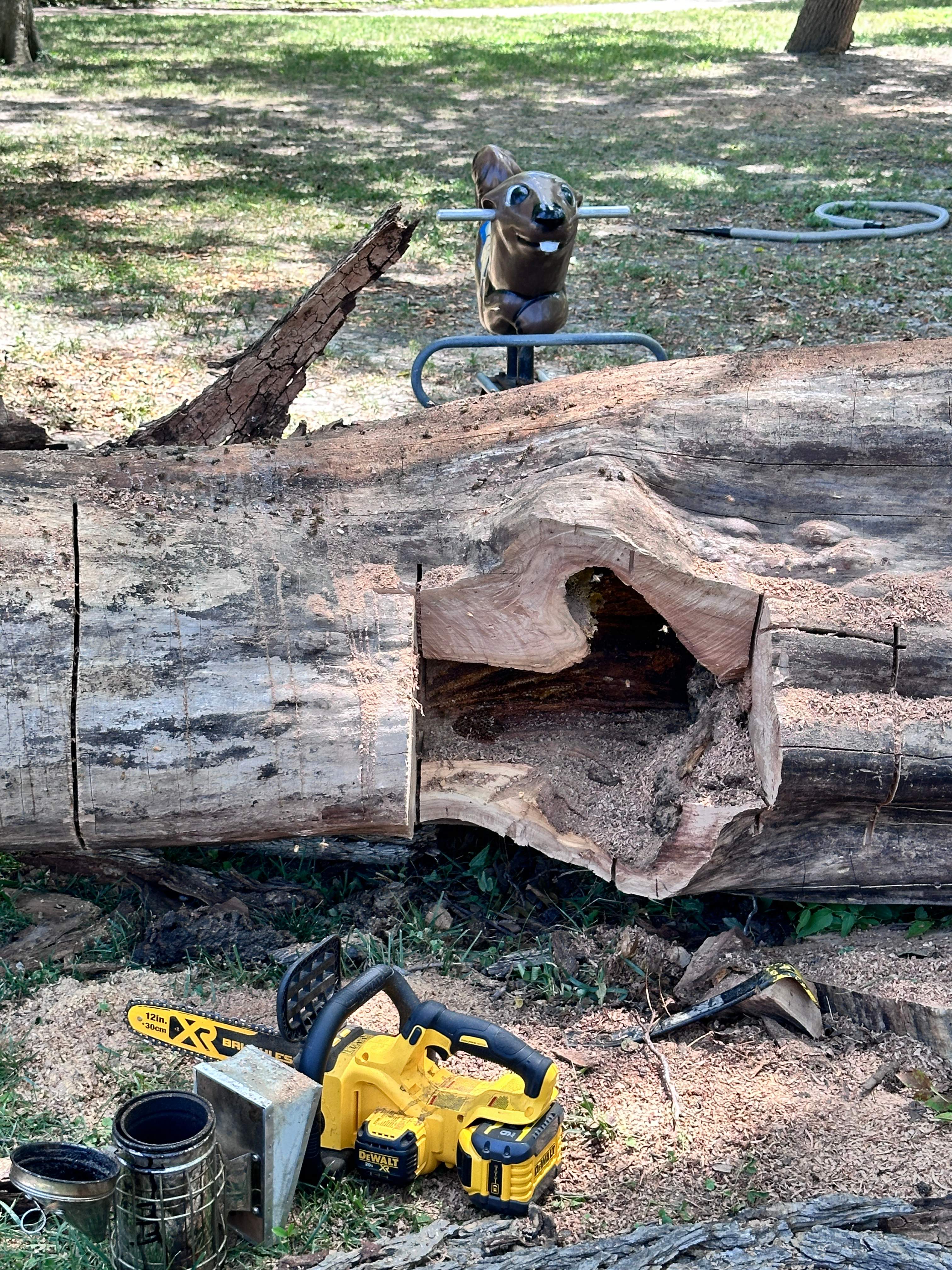 Two More Trees, One More Yard by Rockwall Honey Bee Company