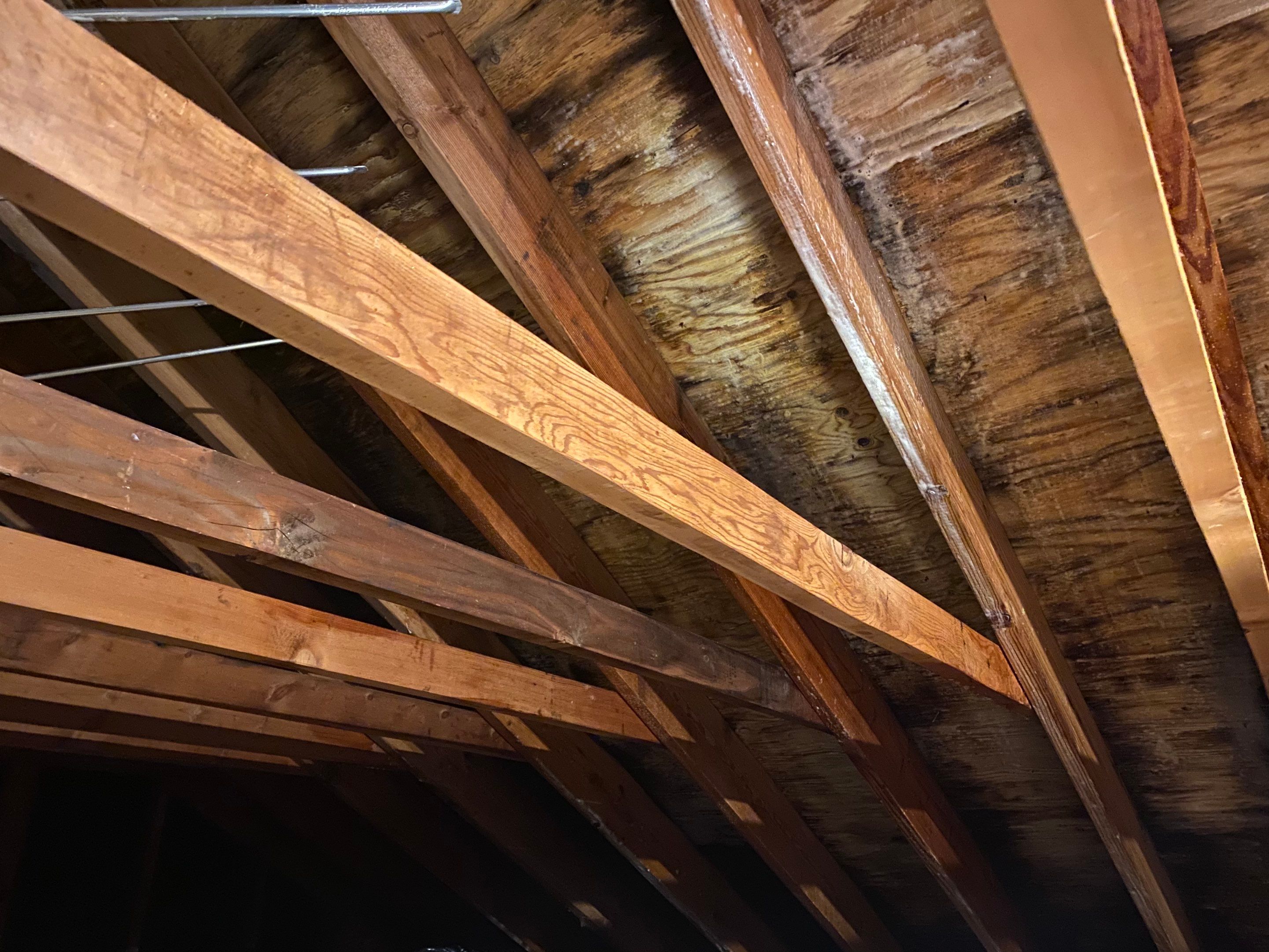 Attic Mold Remediation Job in Vernon Township, NJ by Pure Service Pro, LLC 
