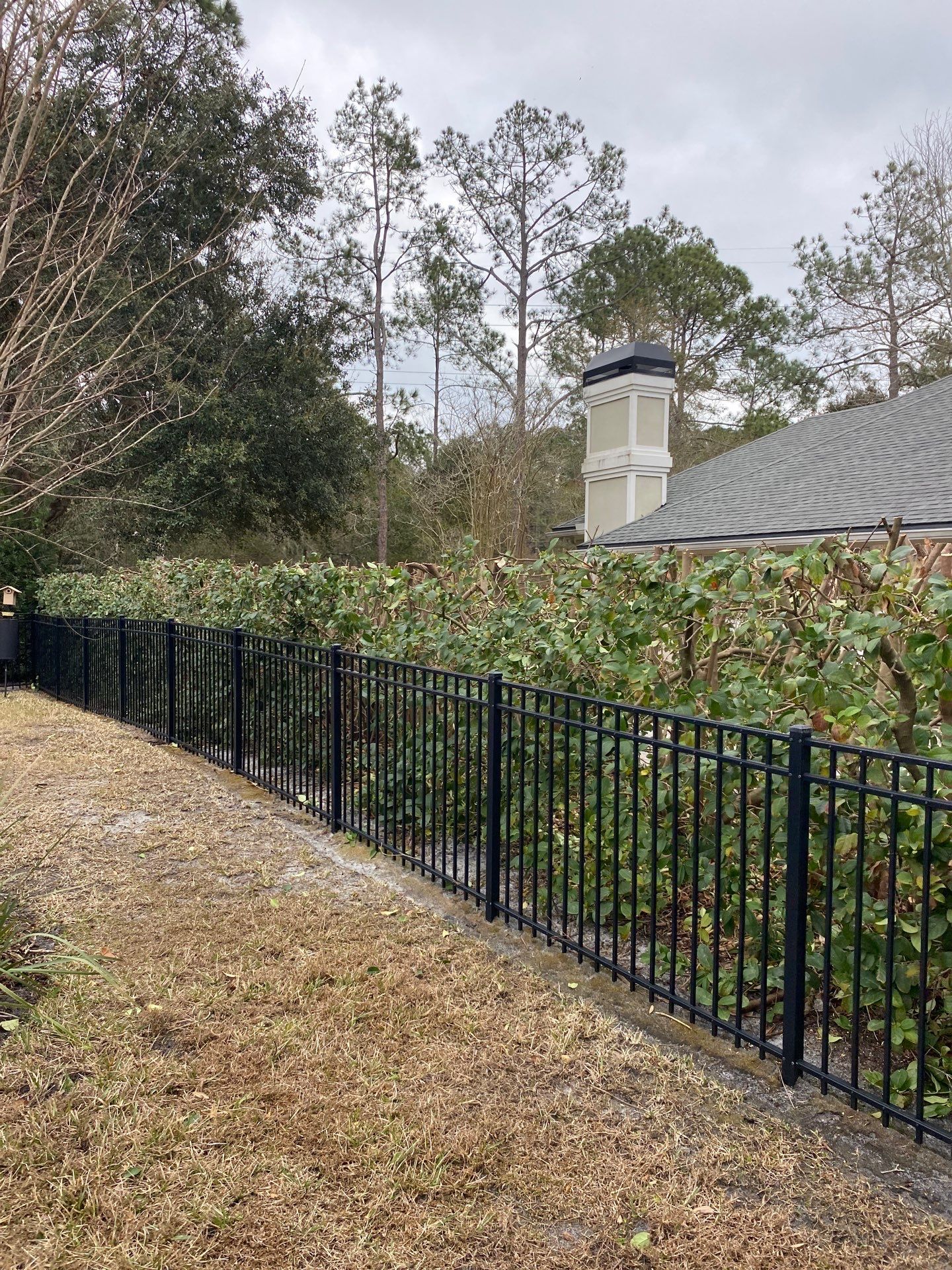 Residential | Hedge Trimming by ProGreen Services