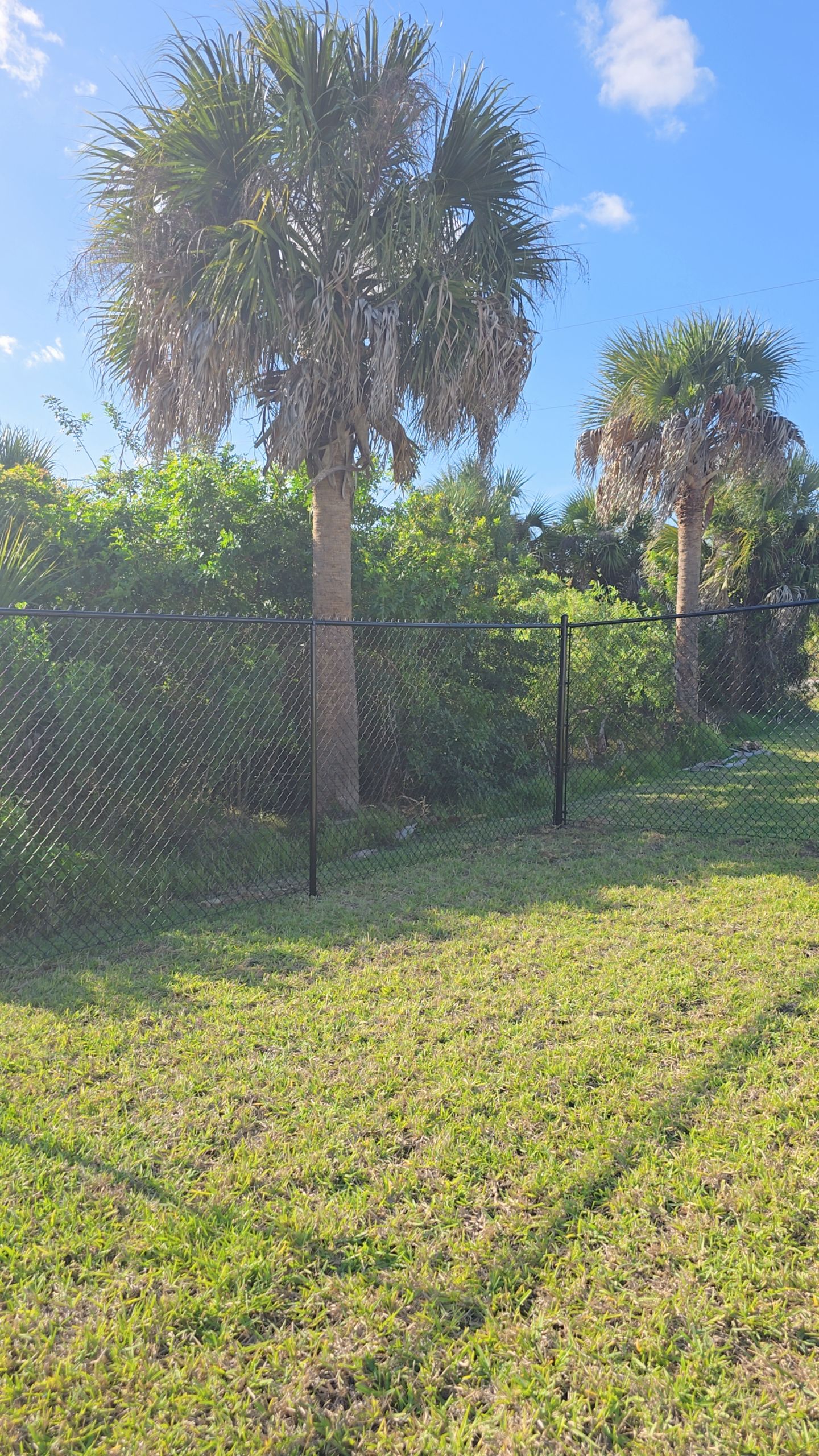 Chain Link Fence in Lehigh Acres by True Fence LLC