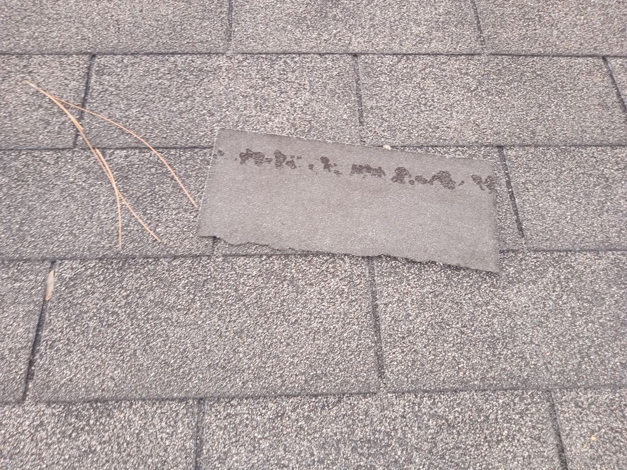 Residential Roofing Repair using Atlas Pinnacle Pristine Tan Mist by Talya Roofing