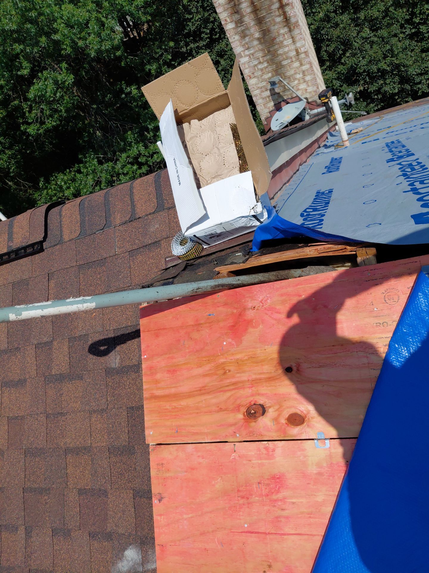 Alexandria: Residential Roof with CertainTeed Landmark Pro in Max Def Burnt Sienna by RM Banning, Inc.