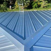 24ga 1" Nail-Strip Mill Finish by Total Roofing System The Metal Roof Experts