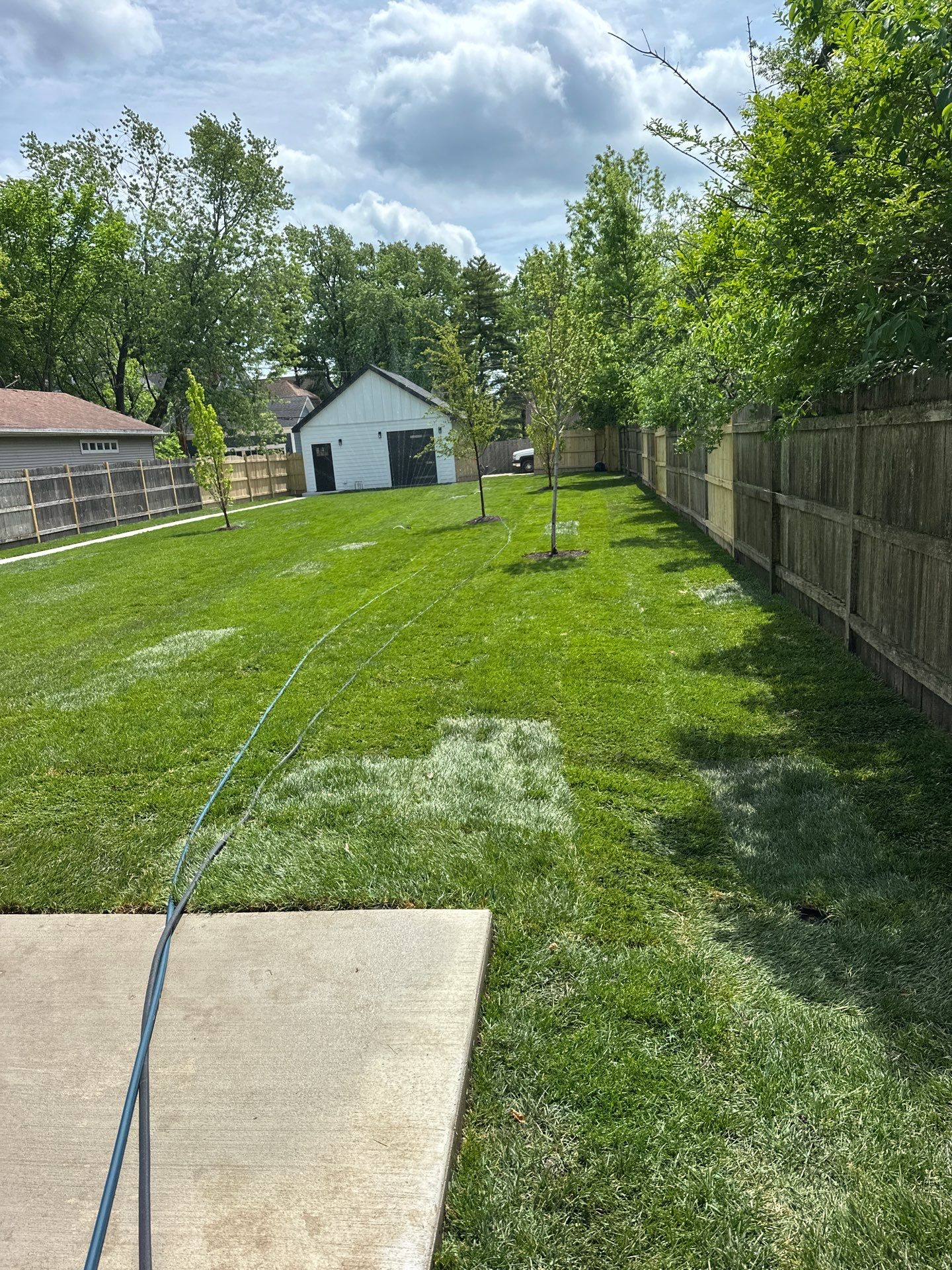 Tom D. - Wilmette, IL by A&N