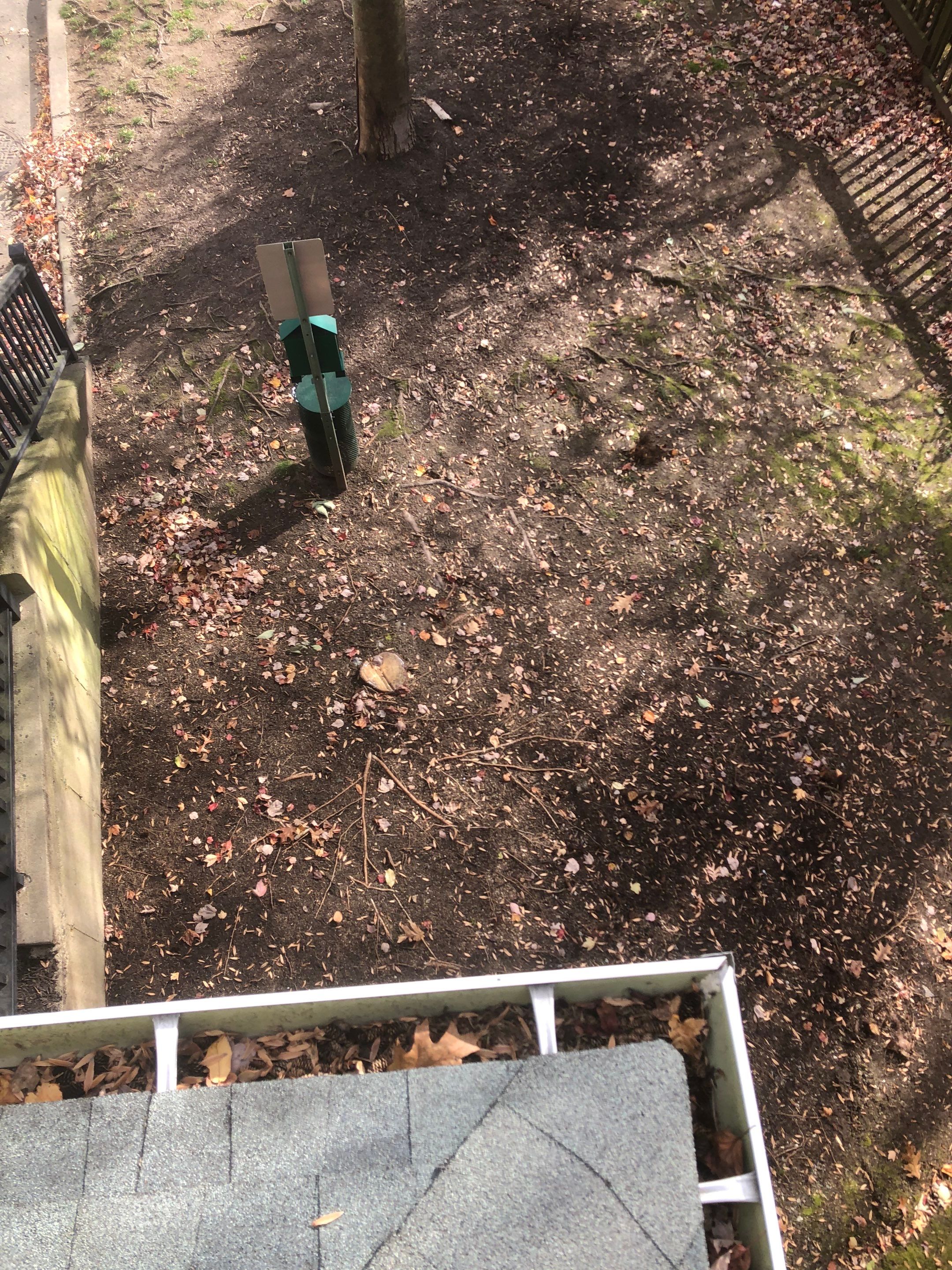 Commercial gutter cleaning Connecticut before photo with filled gutters