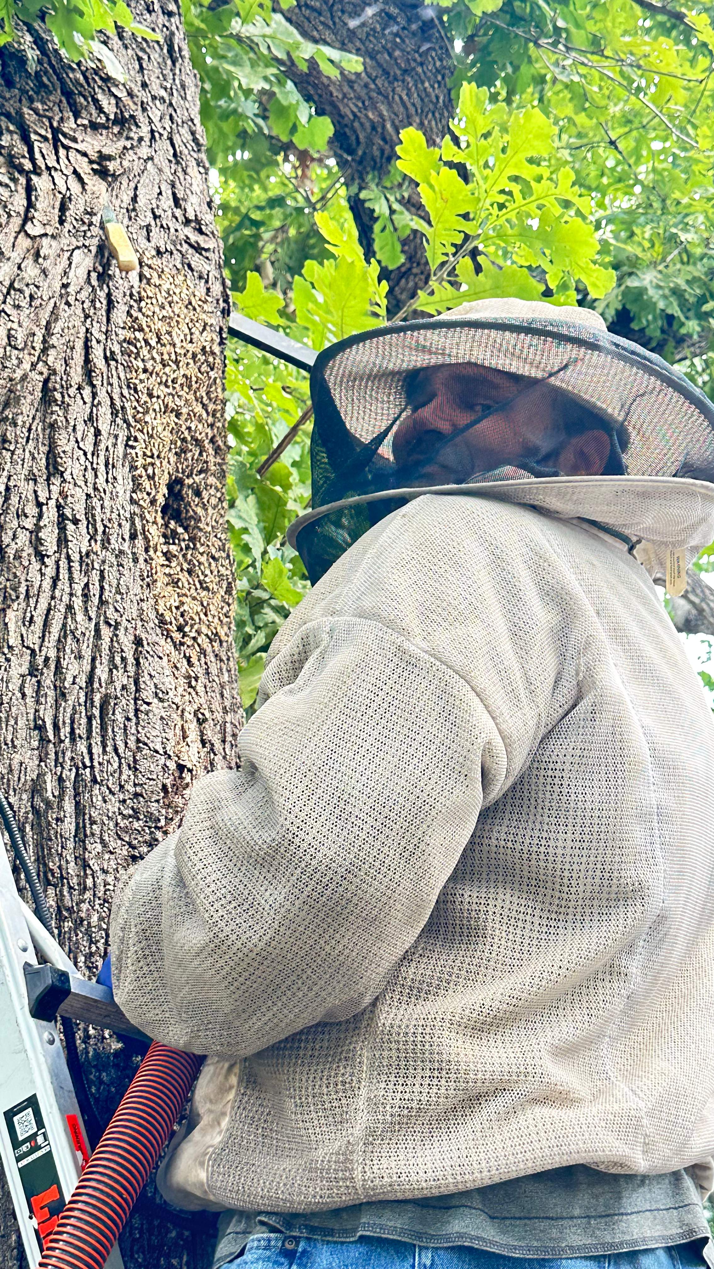 Tight Squeeze by Rockwall Honey Bee Company