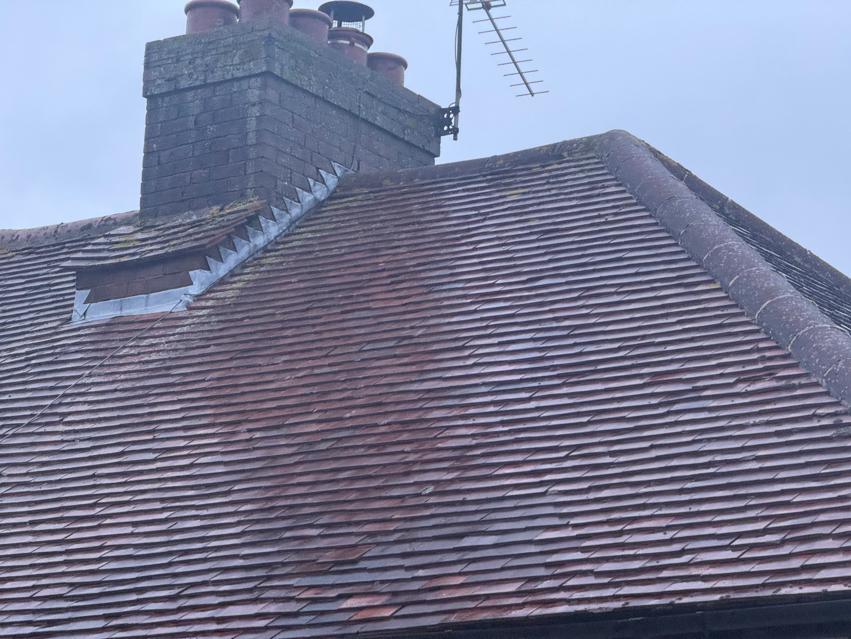 Roof Clean Banstead by Ges Exterior Cleaning ltd