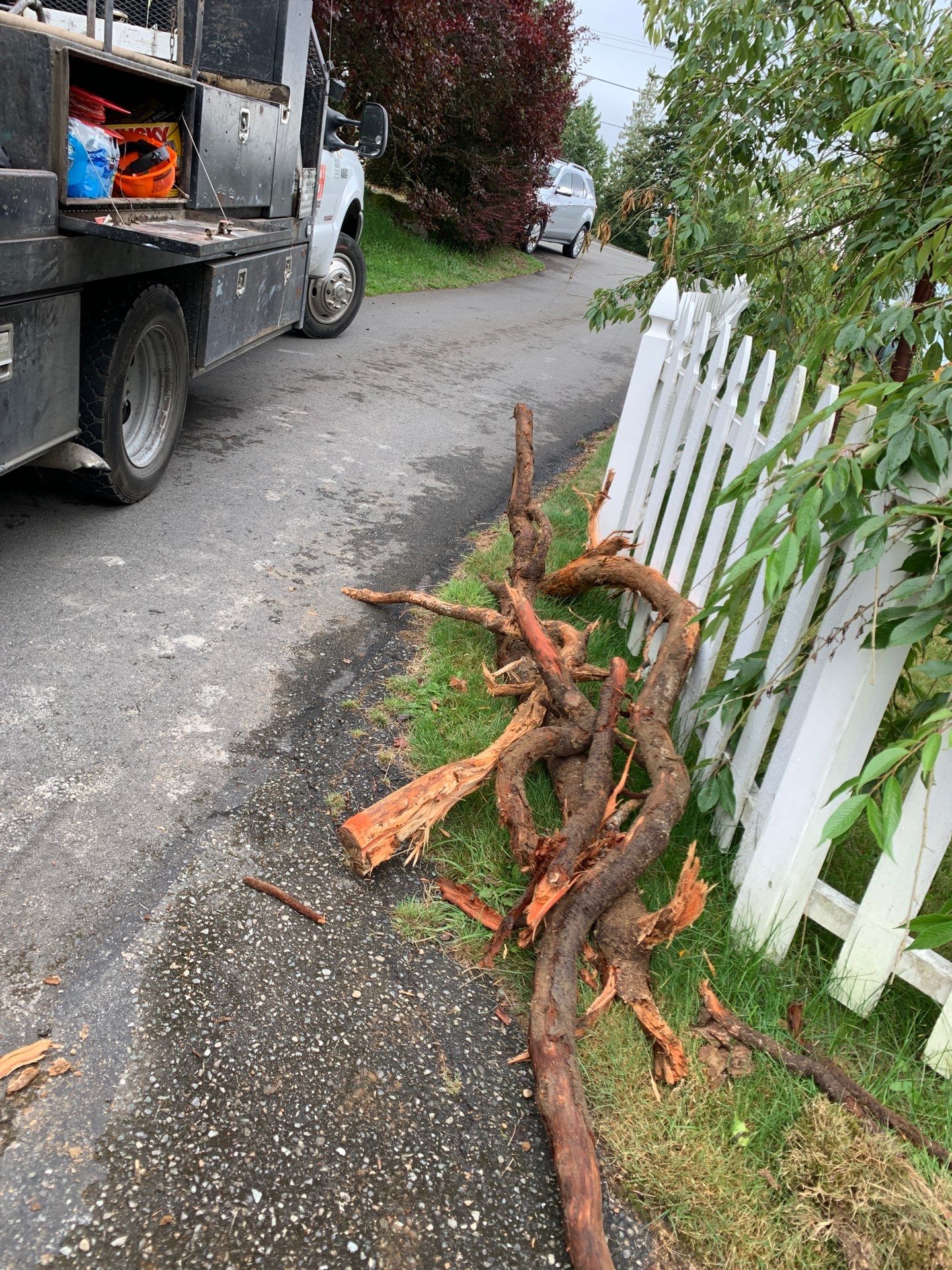 Kurt | Asphalt Patch Repairs & Sealcoating  by Jireh Asphalt & Concrete Inc 