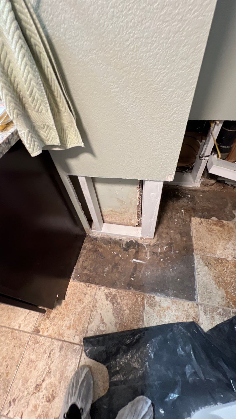 Water Damage and Mold Remediation by Accountable Home Services