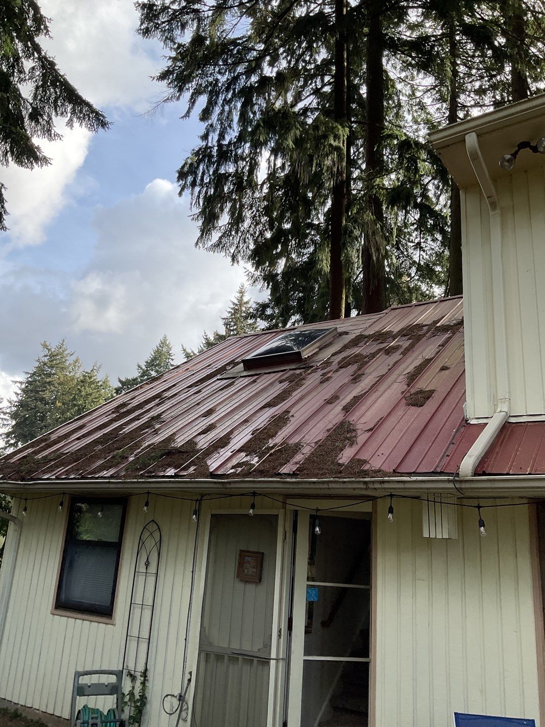 Gutters by Willamette Outdoor Wash LLC