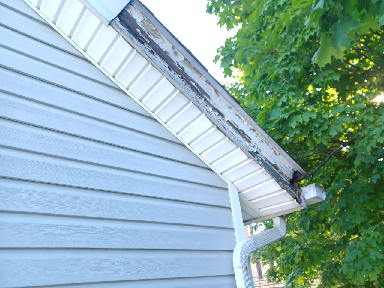 Sharon Alexander by Silver Leaf Contracting 