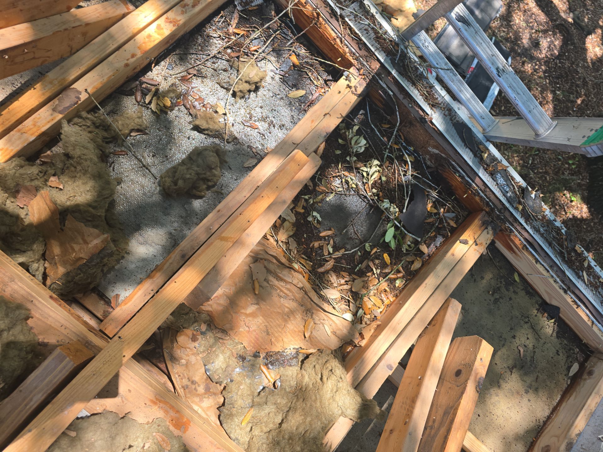 Roof Repair Pearland by Roof Repair Company