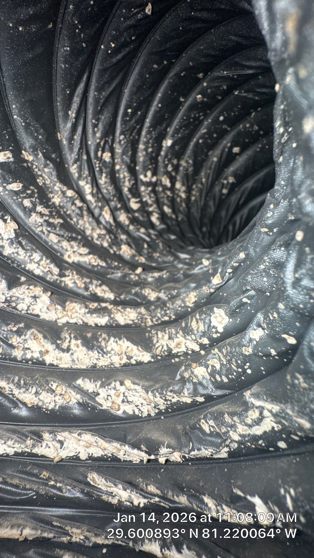 Air Duct Cleaning Encapsulation in Palm Coast by Hygienic Air, Inc