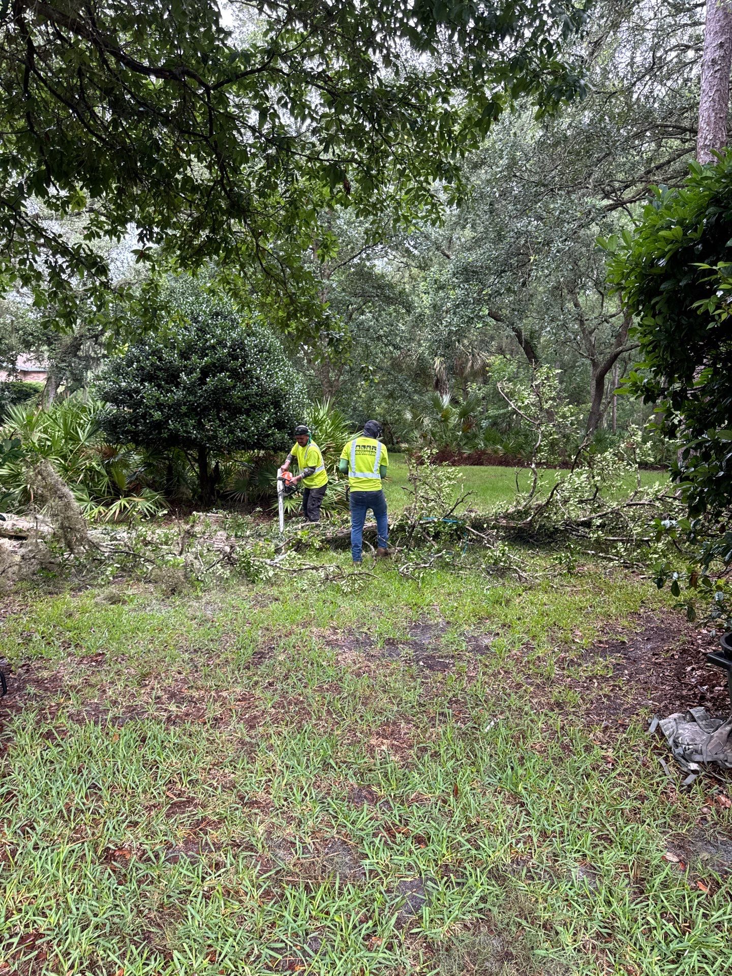 Deerwood Resident | Tree Removal & Trimming by ProGreen Services