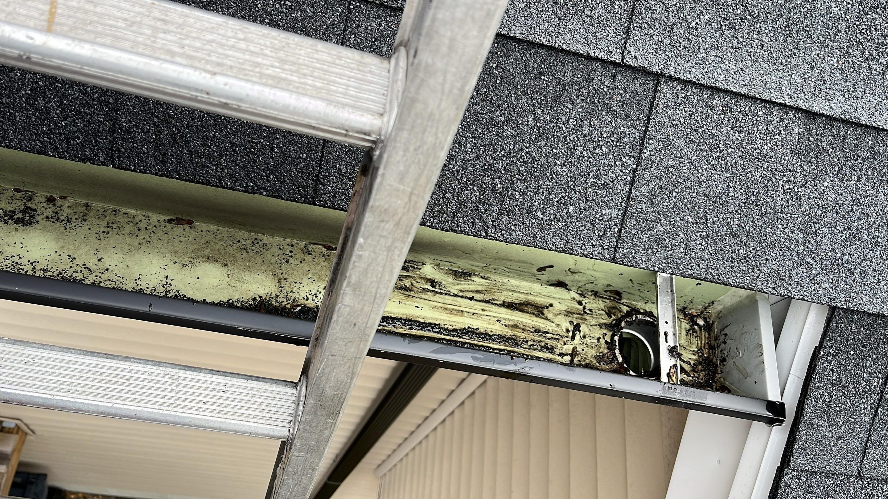 Gutter Cleaning  by JOHNNYS PRO