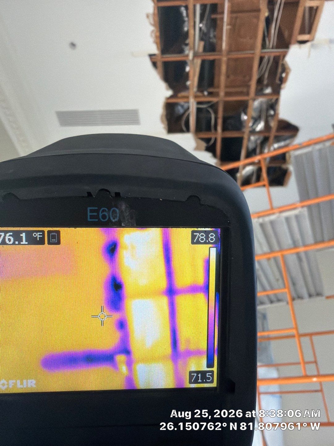 Moisture Detection and Structural Water Damage Restoration in Naples by Microscope