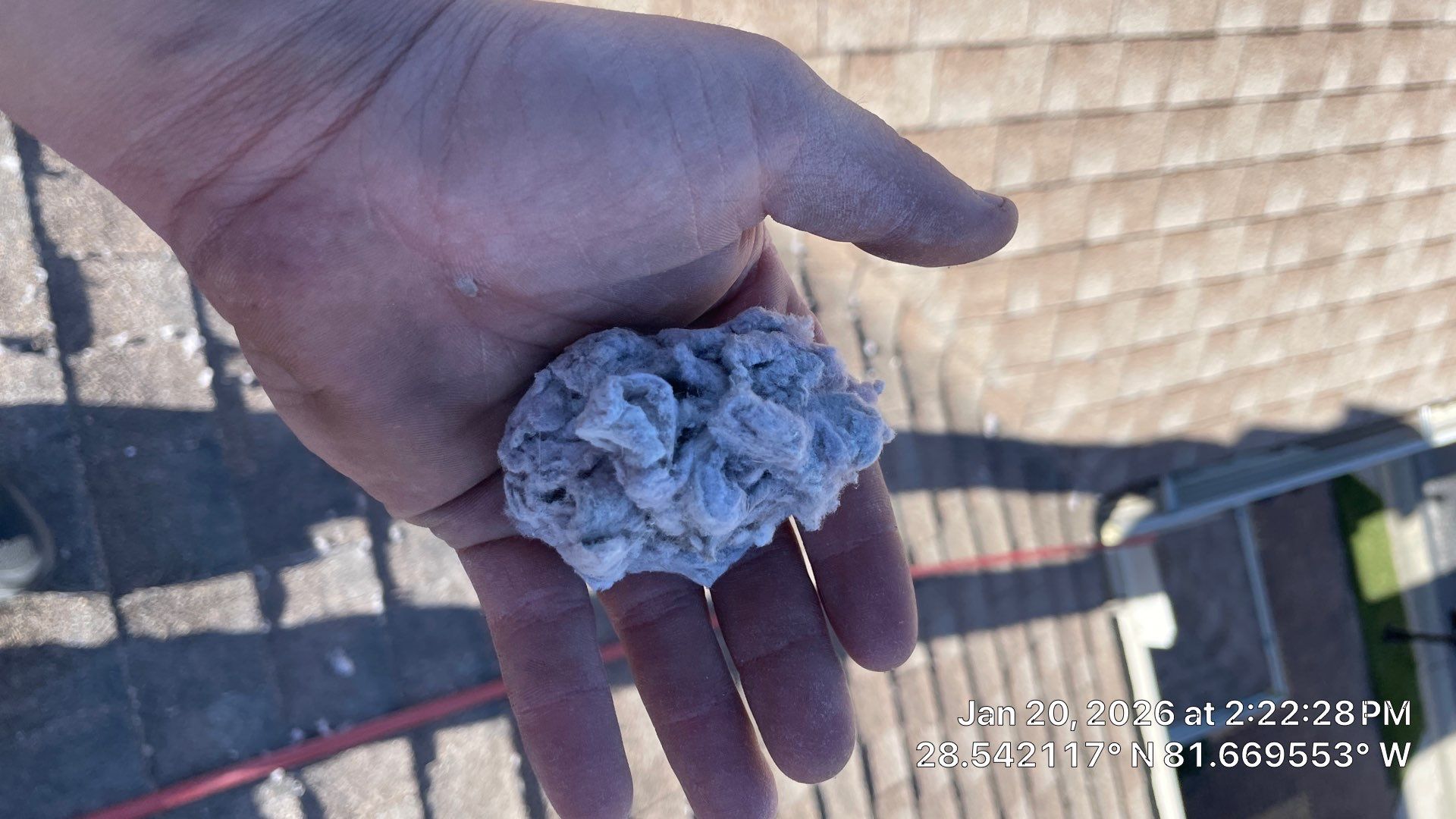 Air Duct and Dryer Vent Cleaning in Clermont by Hygienic Air, Inc