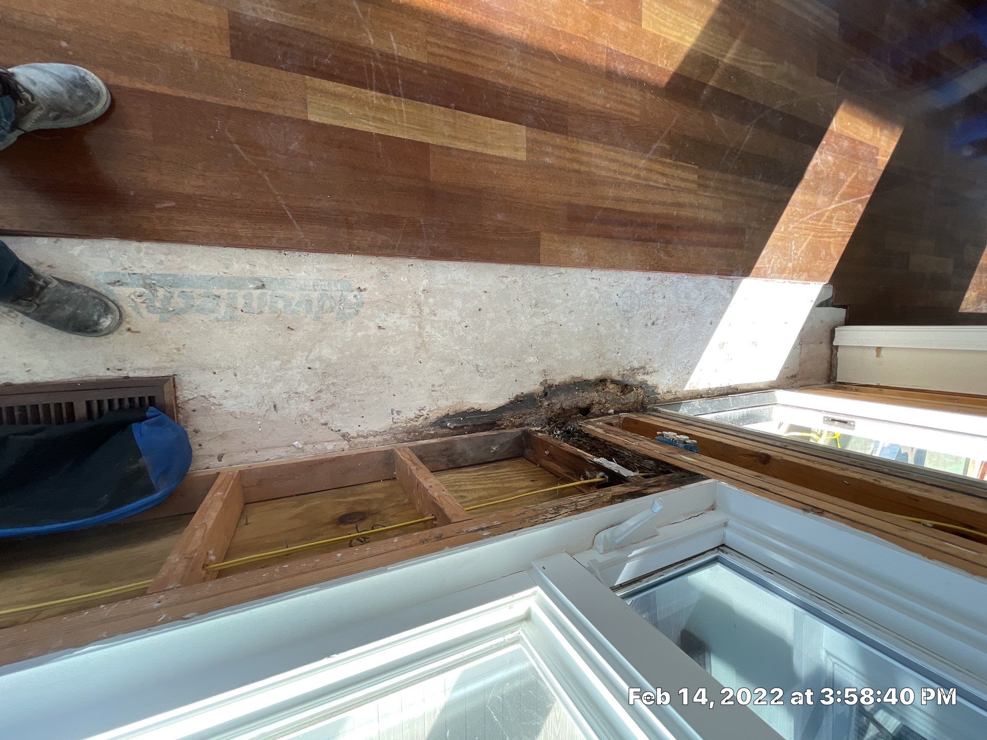 Luxury Home - Owners find termites and need interior selective demo, prior to repairs. by EAS Environmental, LLC.