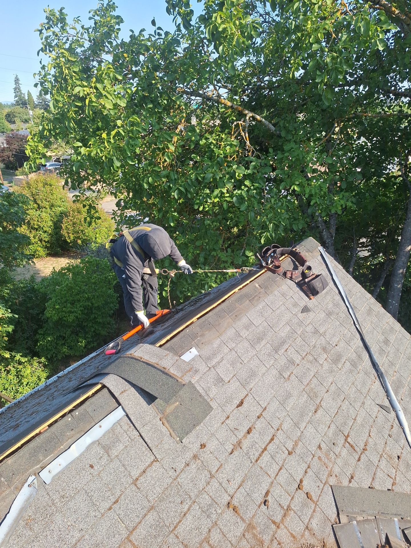 Springfield Residential Reroof Featuring New Sheathing and Synthetic Underlayment by BEST Roofing & Waterproofing