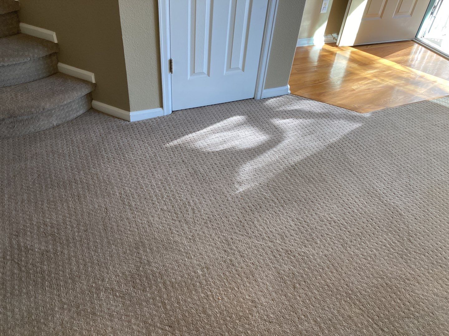 Mold Remediation Cleanup in Attic by Accountable Home Services