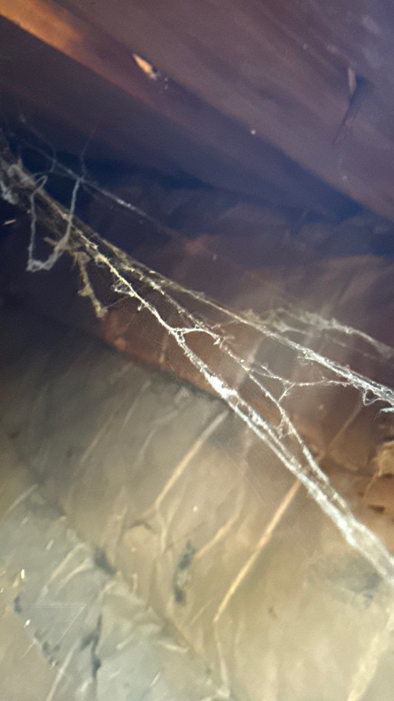 Roof Replacement using Owens Corning Colonial Slate by 180 Contractors