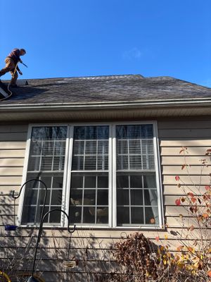 Project in Manakin-Sabot