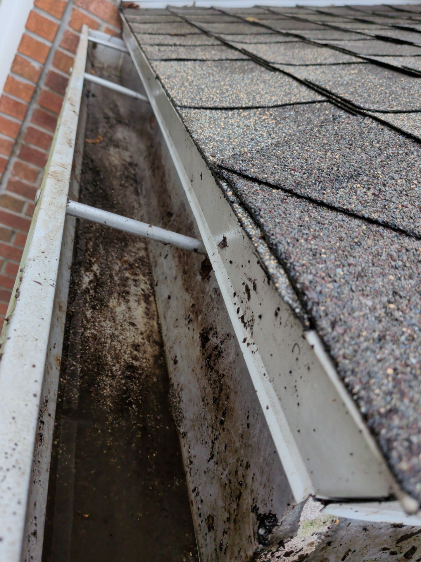 Gutter Cleaning & Debris Removal — Oceanway (Northside Jacksonville) by Harmoni Home Services