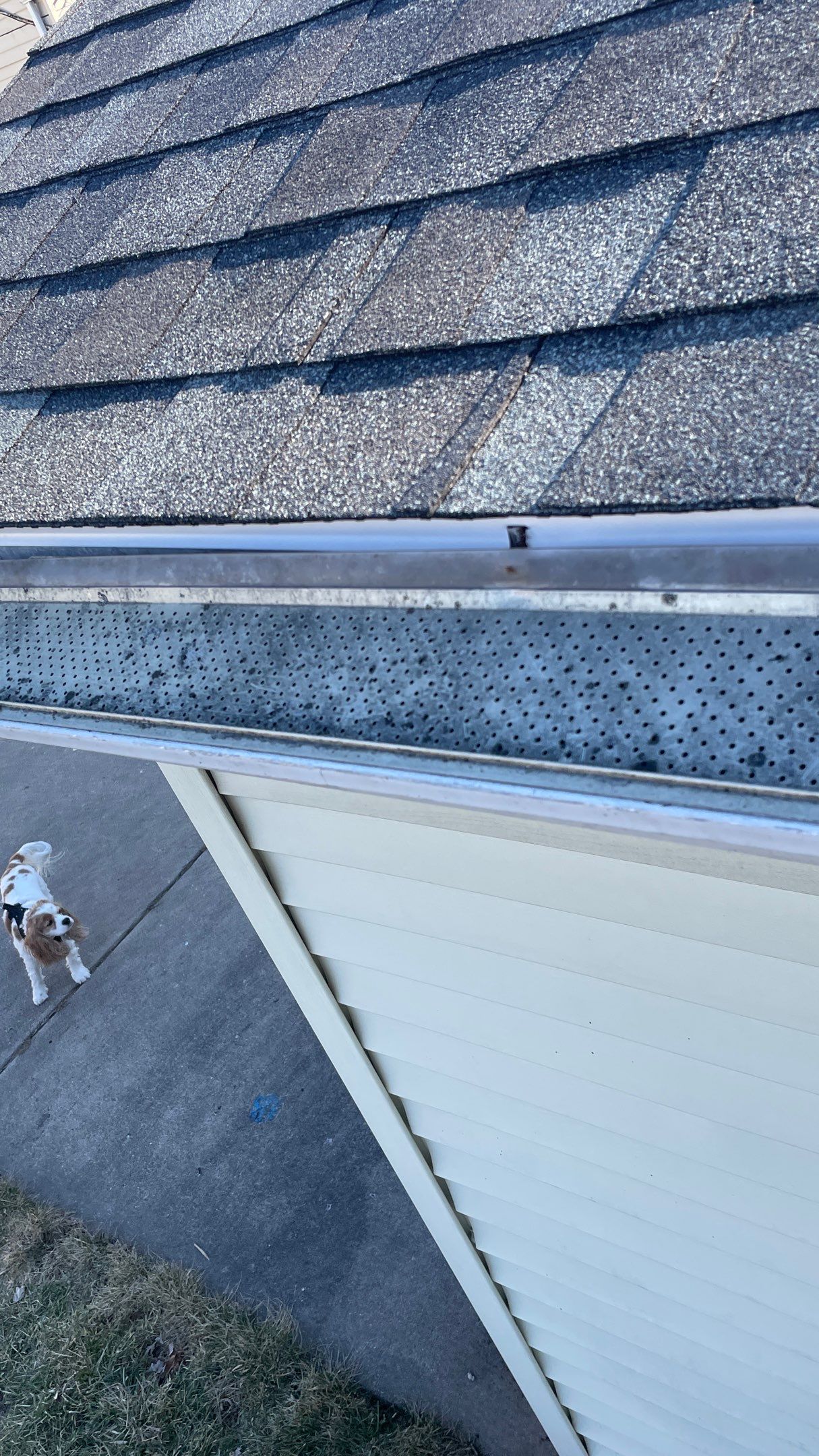 Roof Replacement using CertainTeed Landmark by 180 Contractors