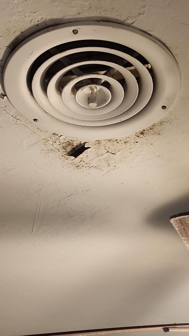 Mold testing by Building performance Solutions LLC