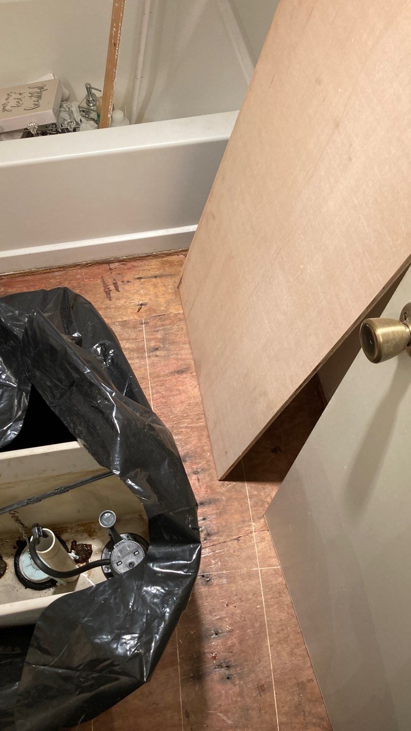 Various Plumbing & Flooring Tasks by Bayfront Home Repair