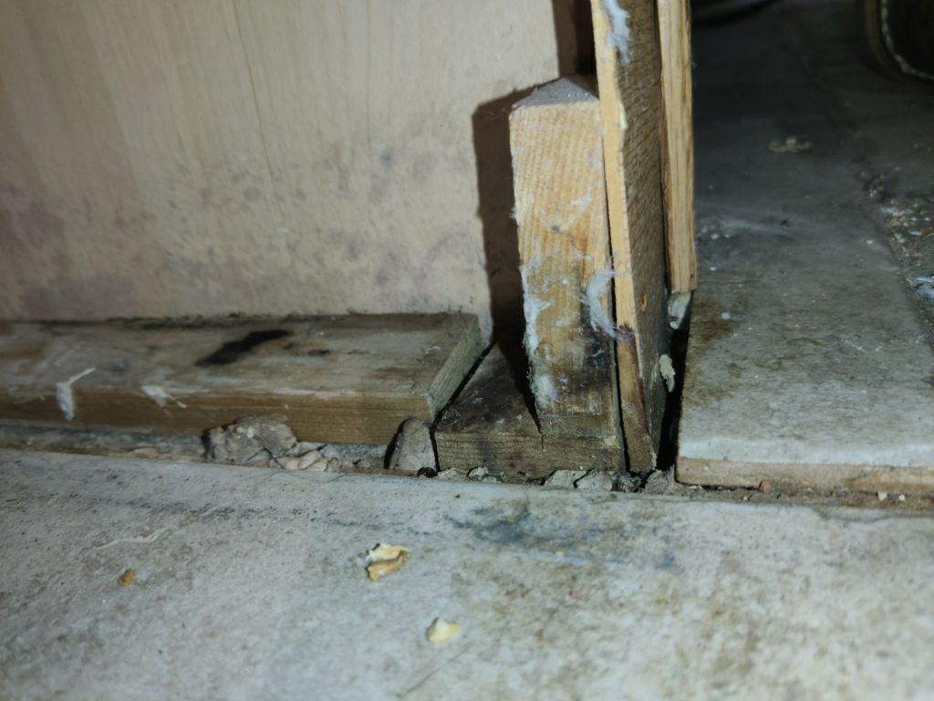 Mold Remediation in Kitchen by Accountable Home Services