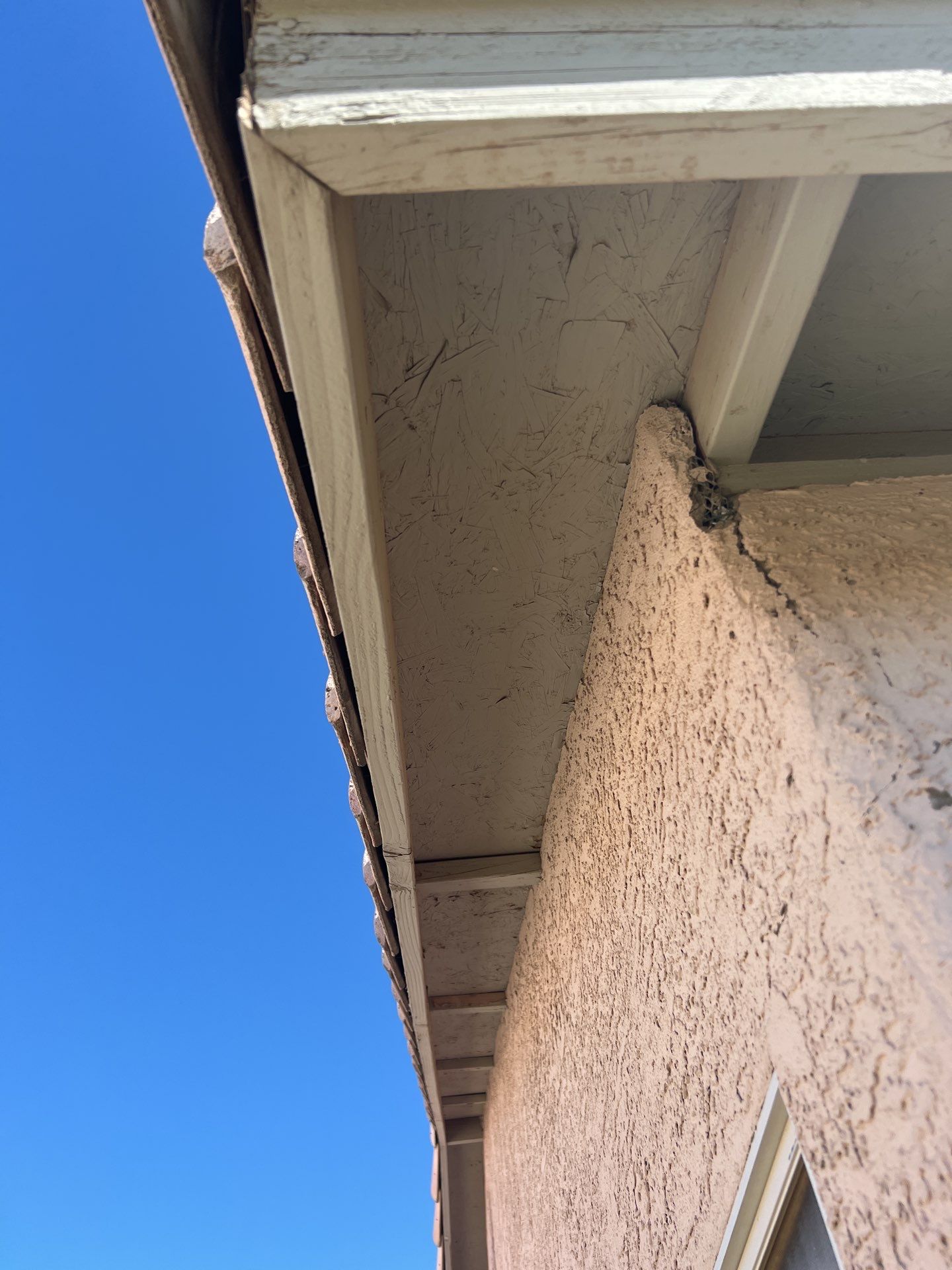 Exterior Painting - Phoenix by Crash of Rhinos Painting & Garage Floors