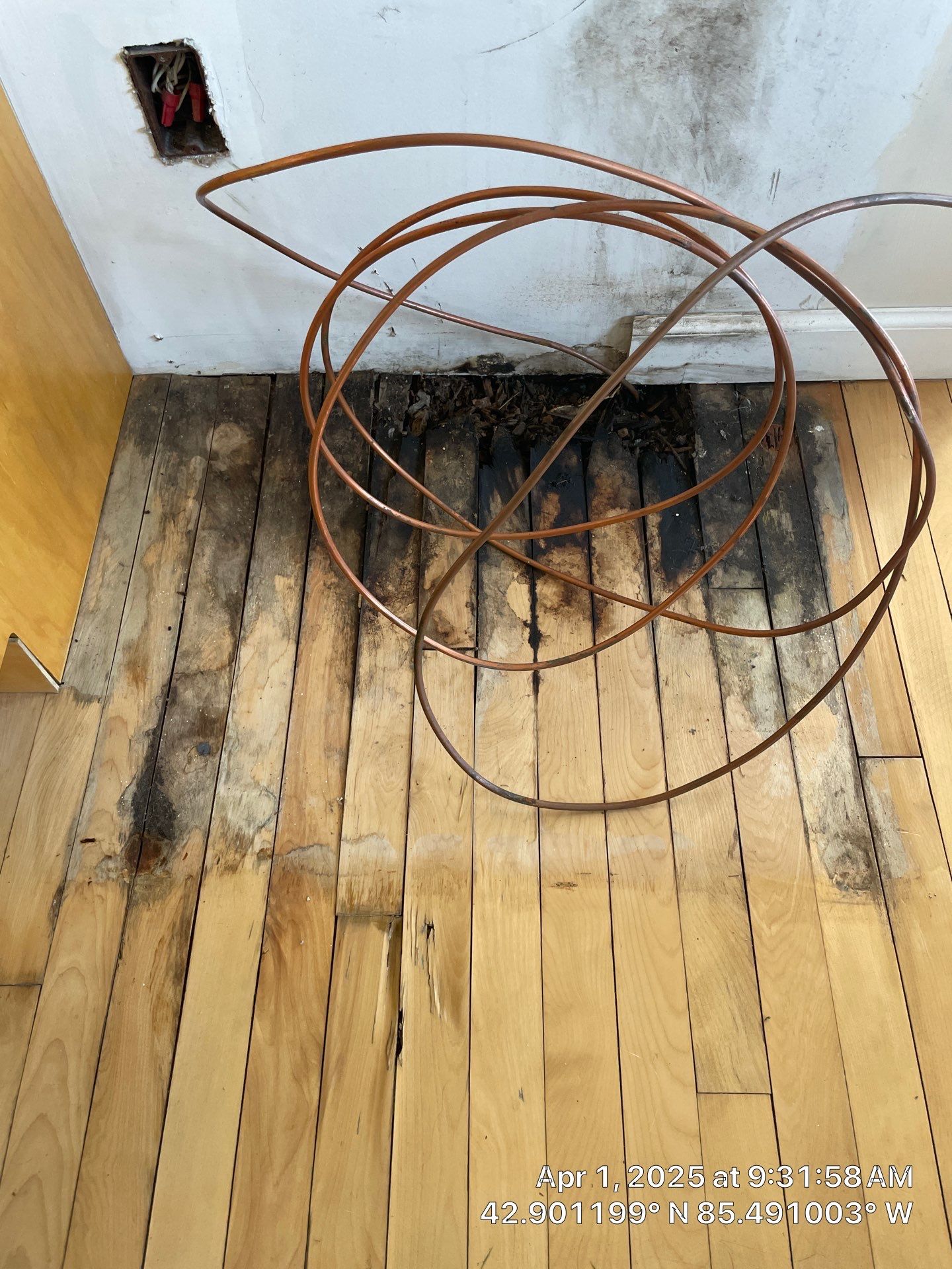 Water Damage Restoration On Solid Birch by RTBaldwin Hardwood Floors