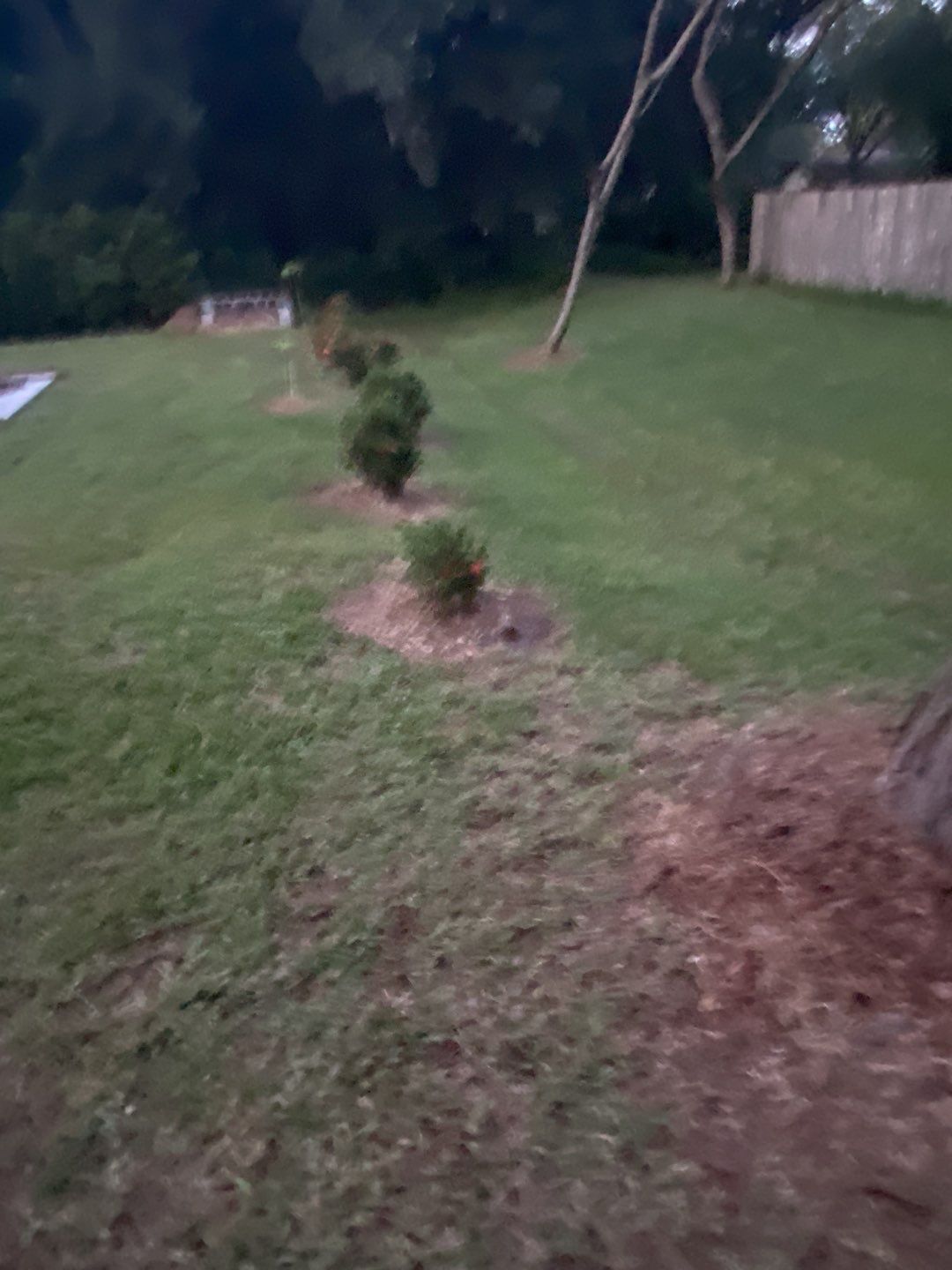 Bradenton, FL 4 ft. Tall 3-Rail Black Aluminum Fence by Asap fence and gates, LLC