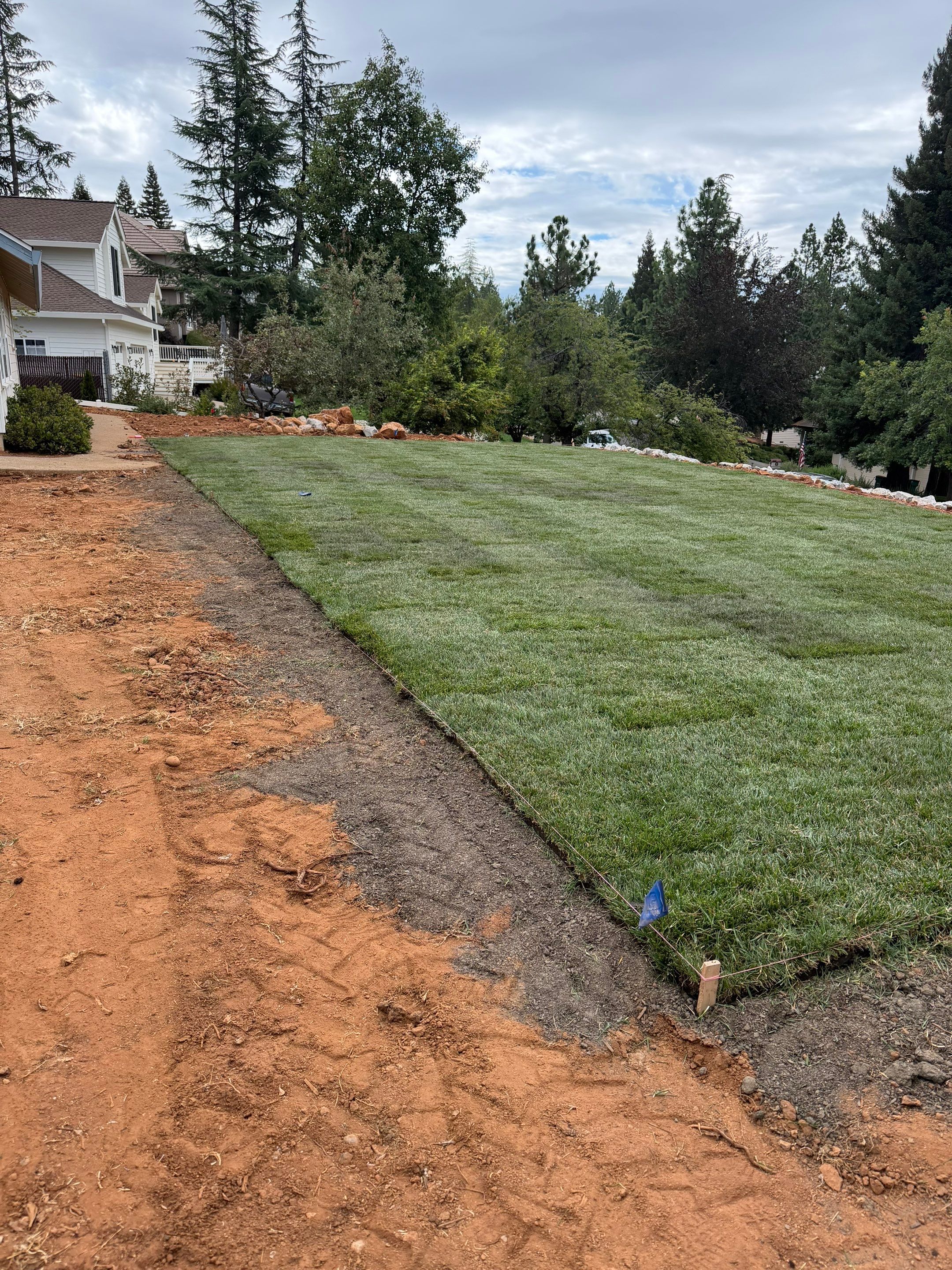 Project in Camino by A - G Sod Farms