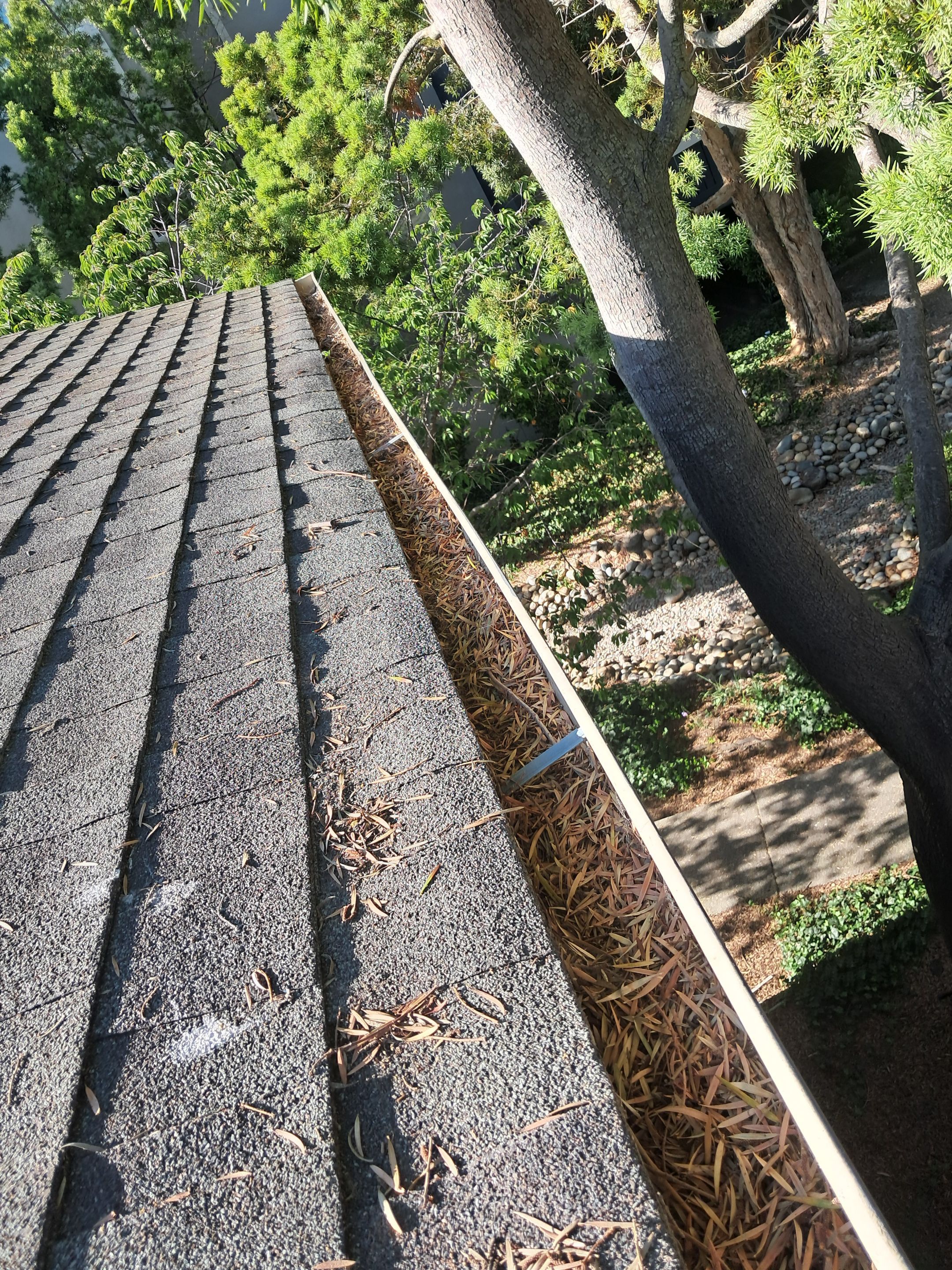 Commercial gutter cleaning San Francisco, CA before photo with filled gutters