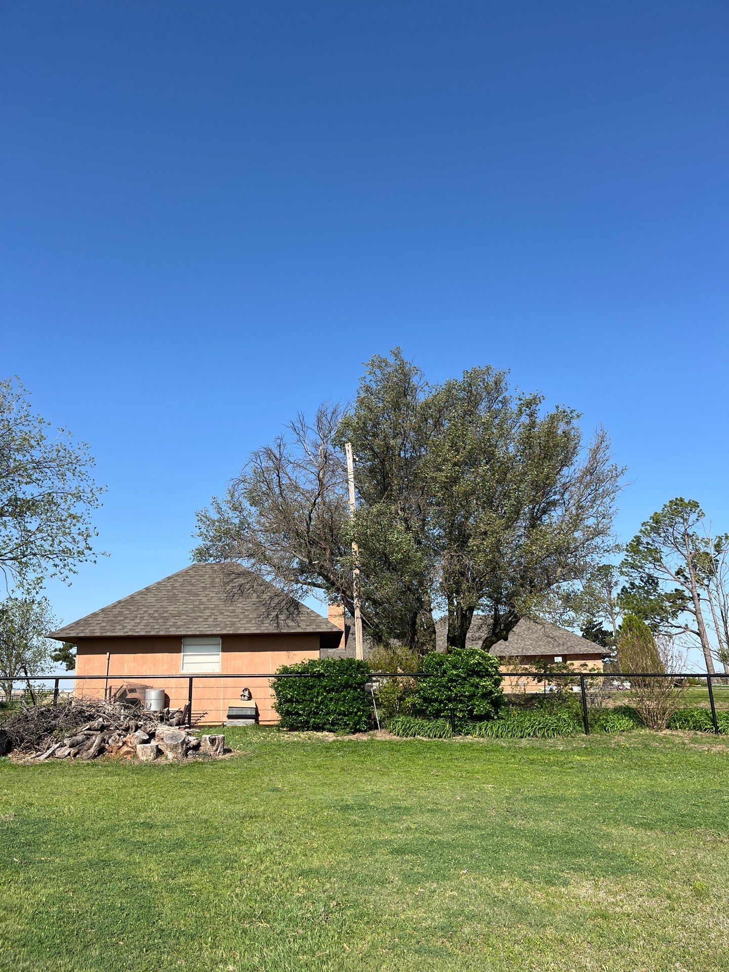 Tree Removal by Clays Services Inc