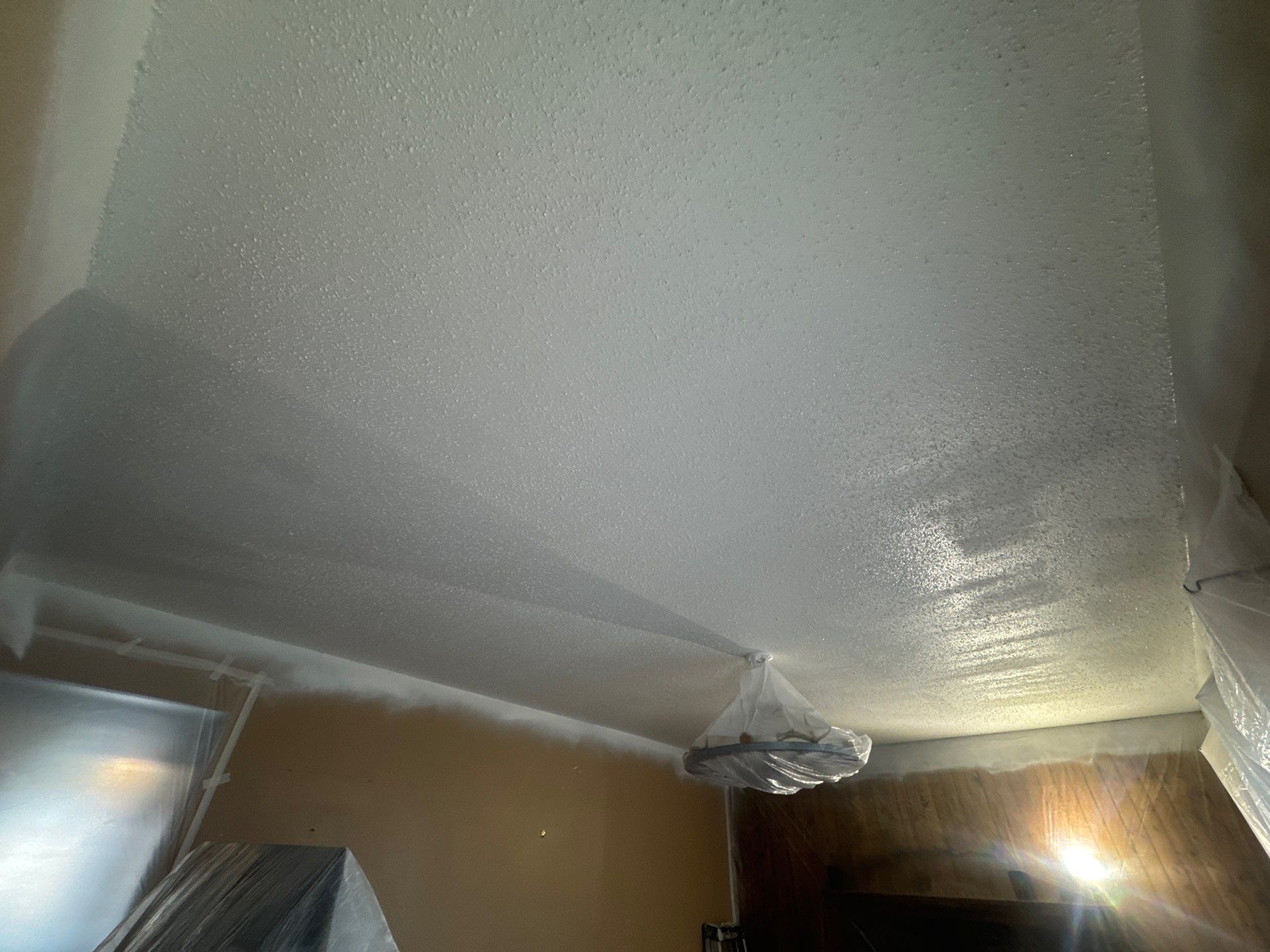Repaint Walls and Ceiling by Midwest Paint LLC