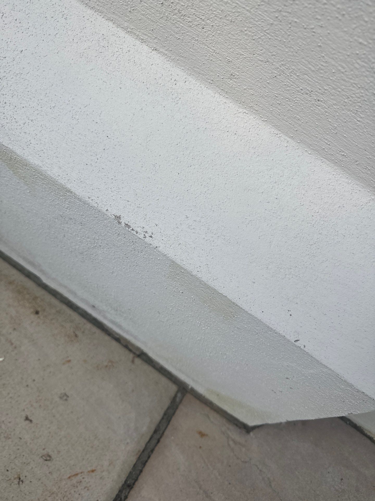 Render Clean using Honda 15lpm Low Pressure Washing Machine by Ges Exterior Cleaning ltd