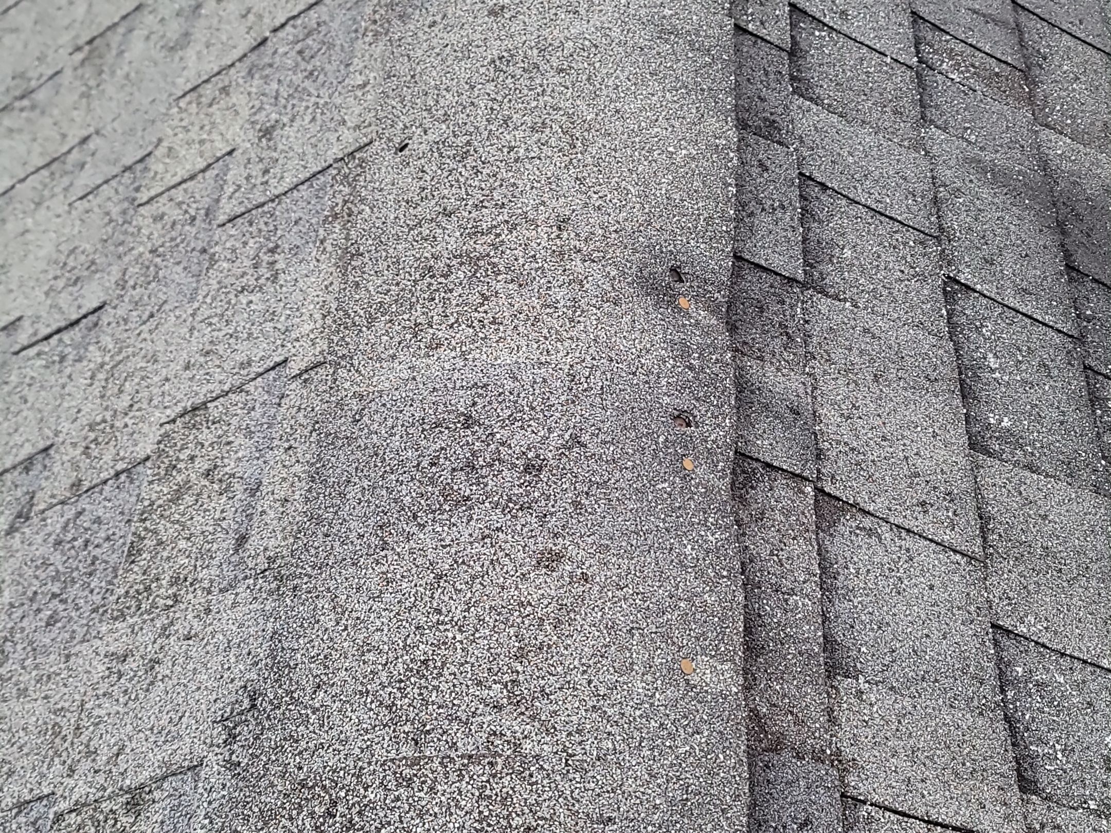 Atlas Pinnacle, Color, Black Shadow, Drip Edge, Color, White by Eagle Eye Roofing